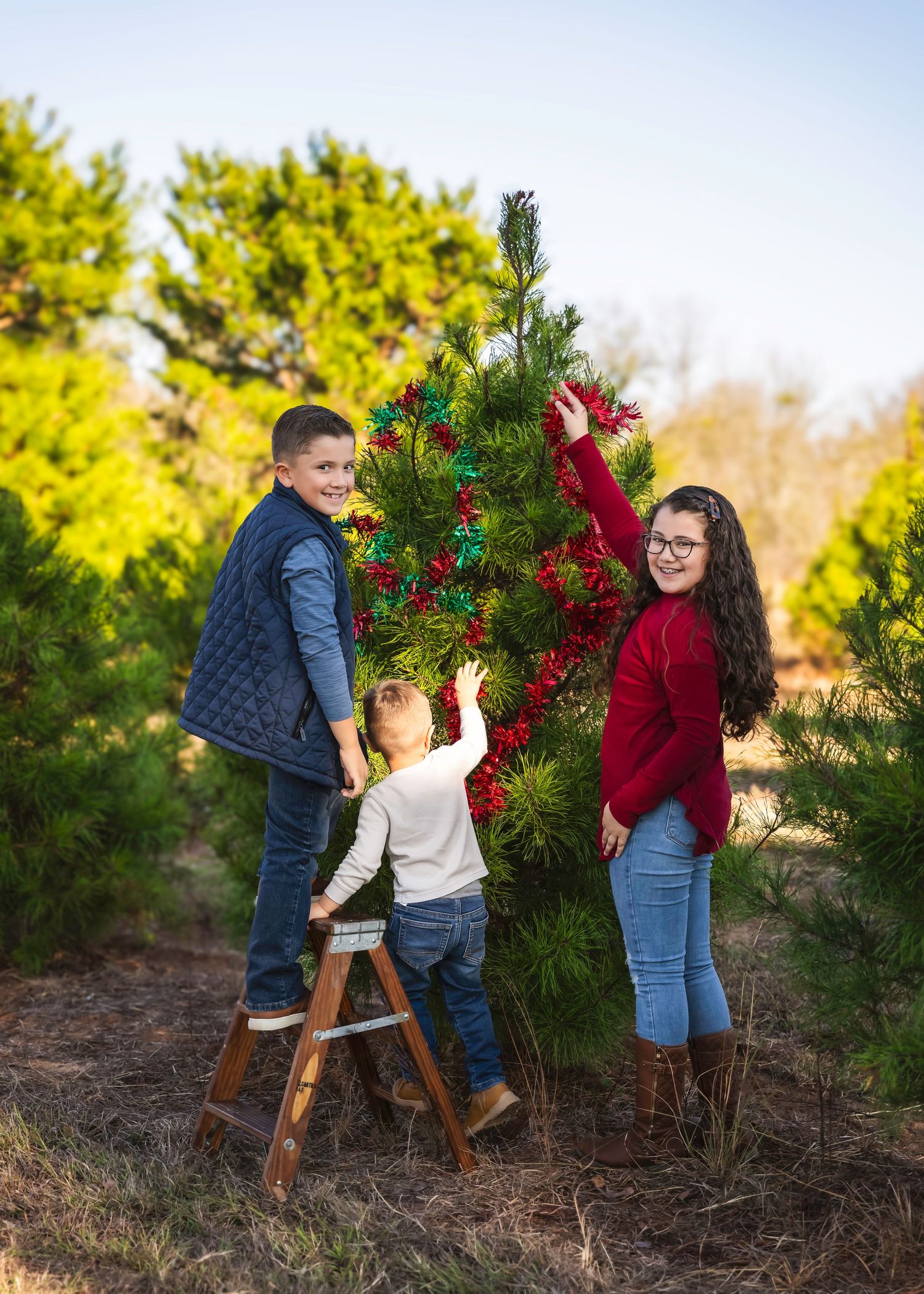 Christmas tree farm lifestyle photography, Elgin TX