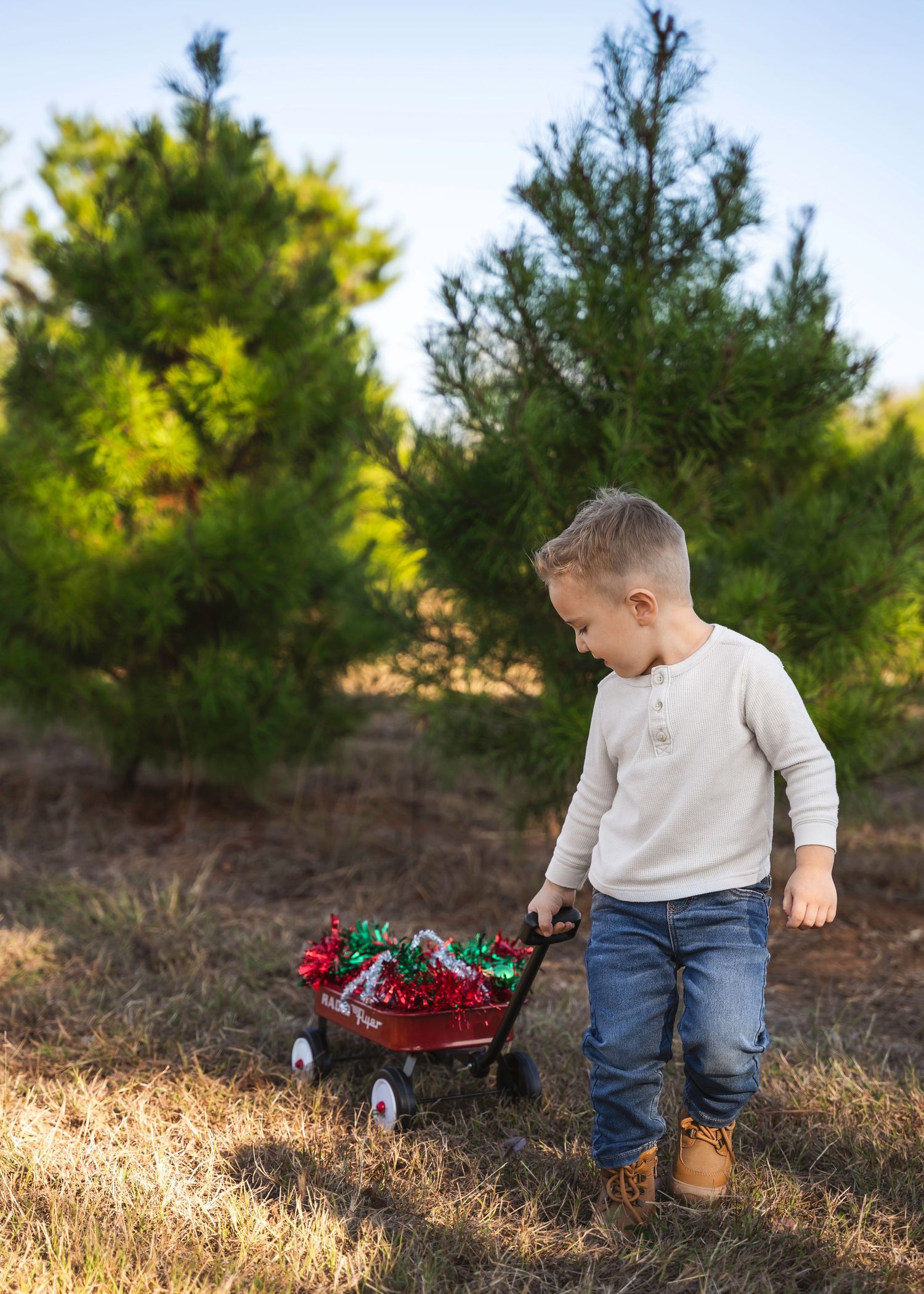 Christmas tree farm lifestyle photography, Elgin TX