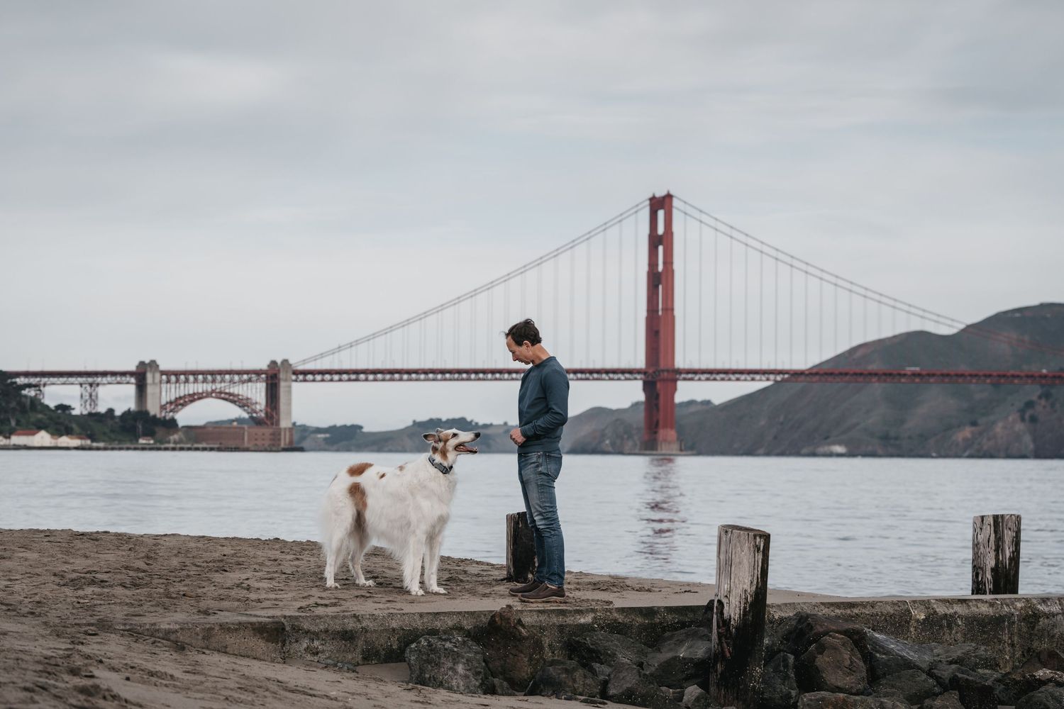 A man interacts with his white dog on a rocky San Francisco beach with the Golden Gate Bridge behind them.