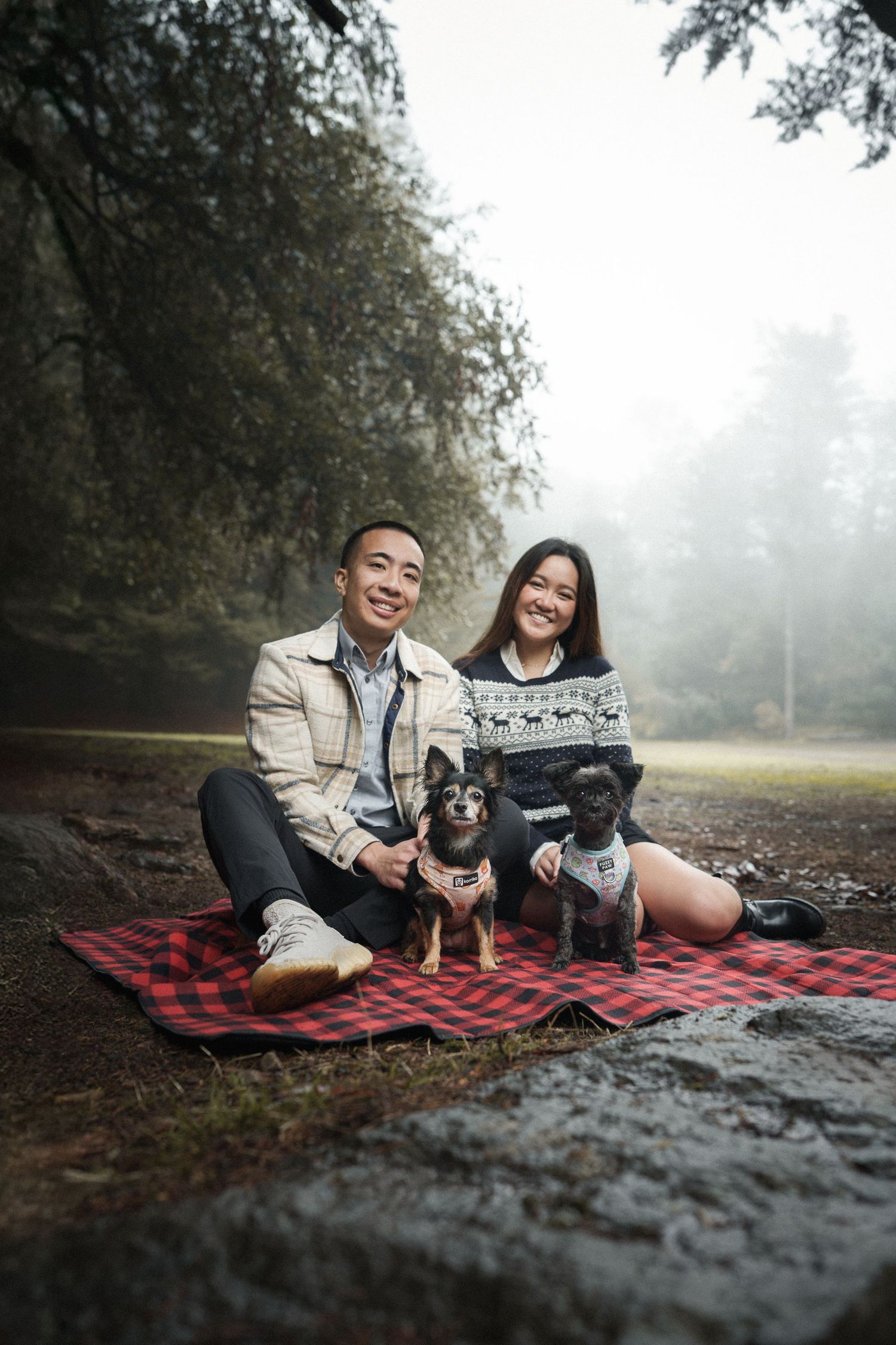 Smiling couple sitting on red plaid blanket in misty forest with two small dogs wearing sweaters.