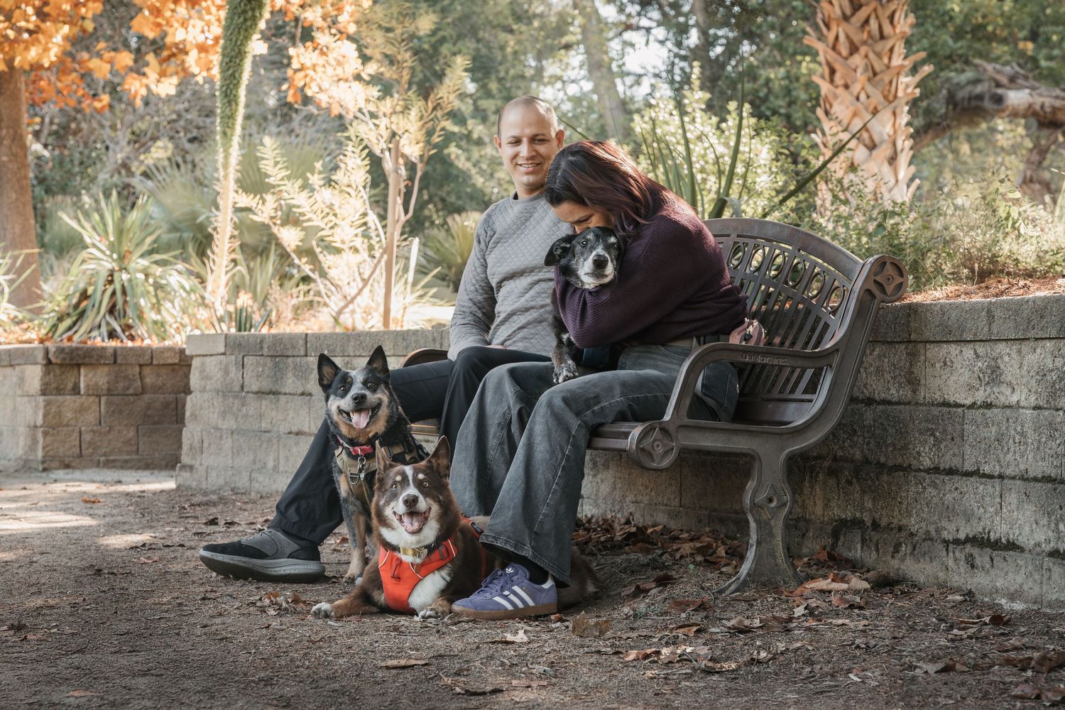 Couple sitting on a park bench with three dogs, surrounded by autumn trees and a stone wall backdrop.