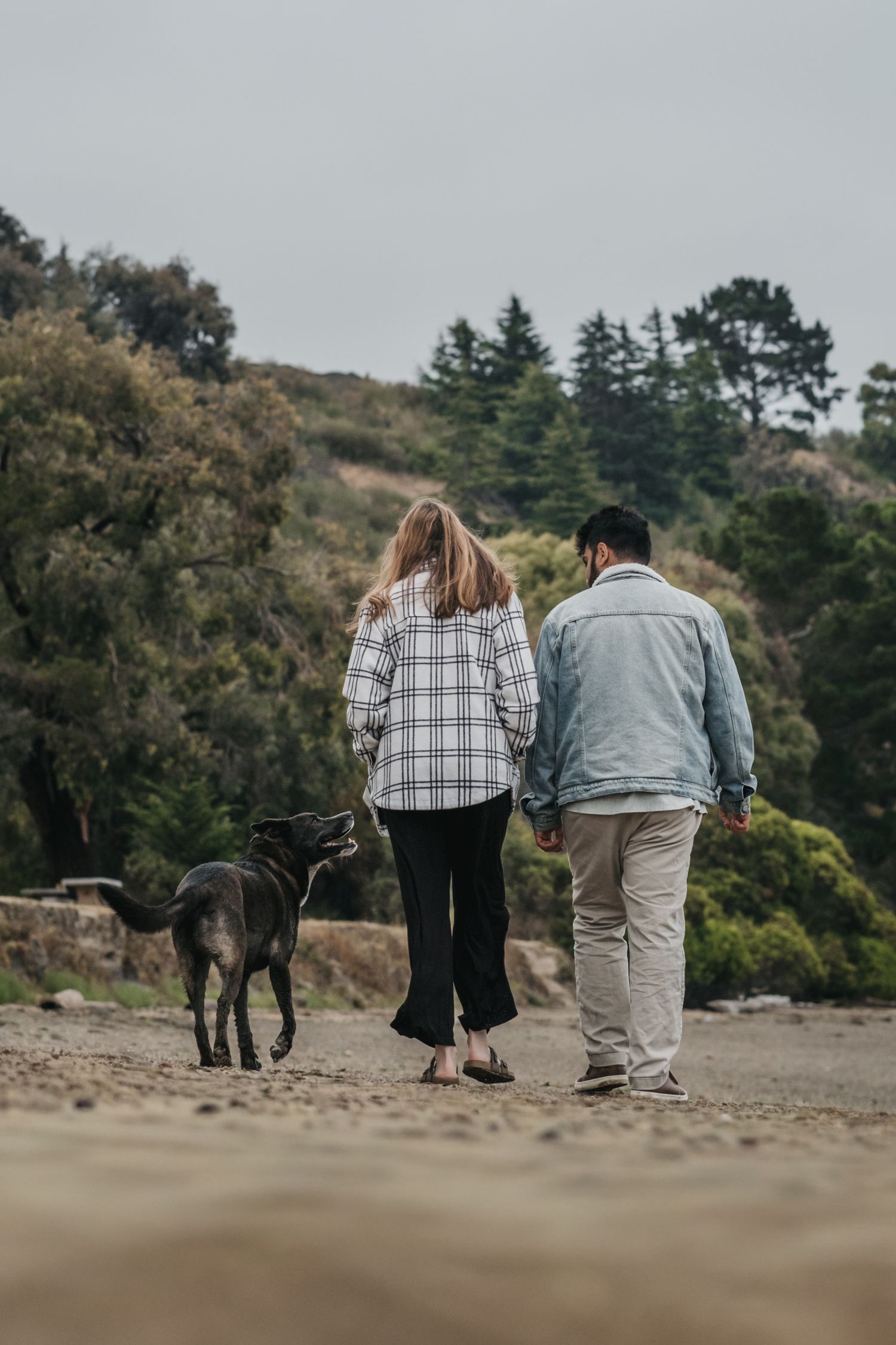 A couple walks hand in hand with their dark dog along a sandy beach surrounded by lush trees.