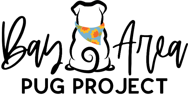 Bay Area Pug Project logo featuring a cute pug wearing a colorful bandana in black script lettering.