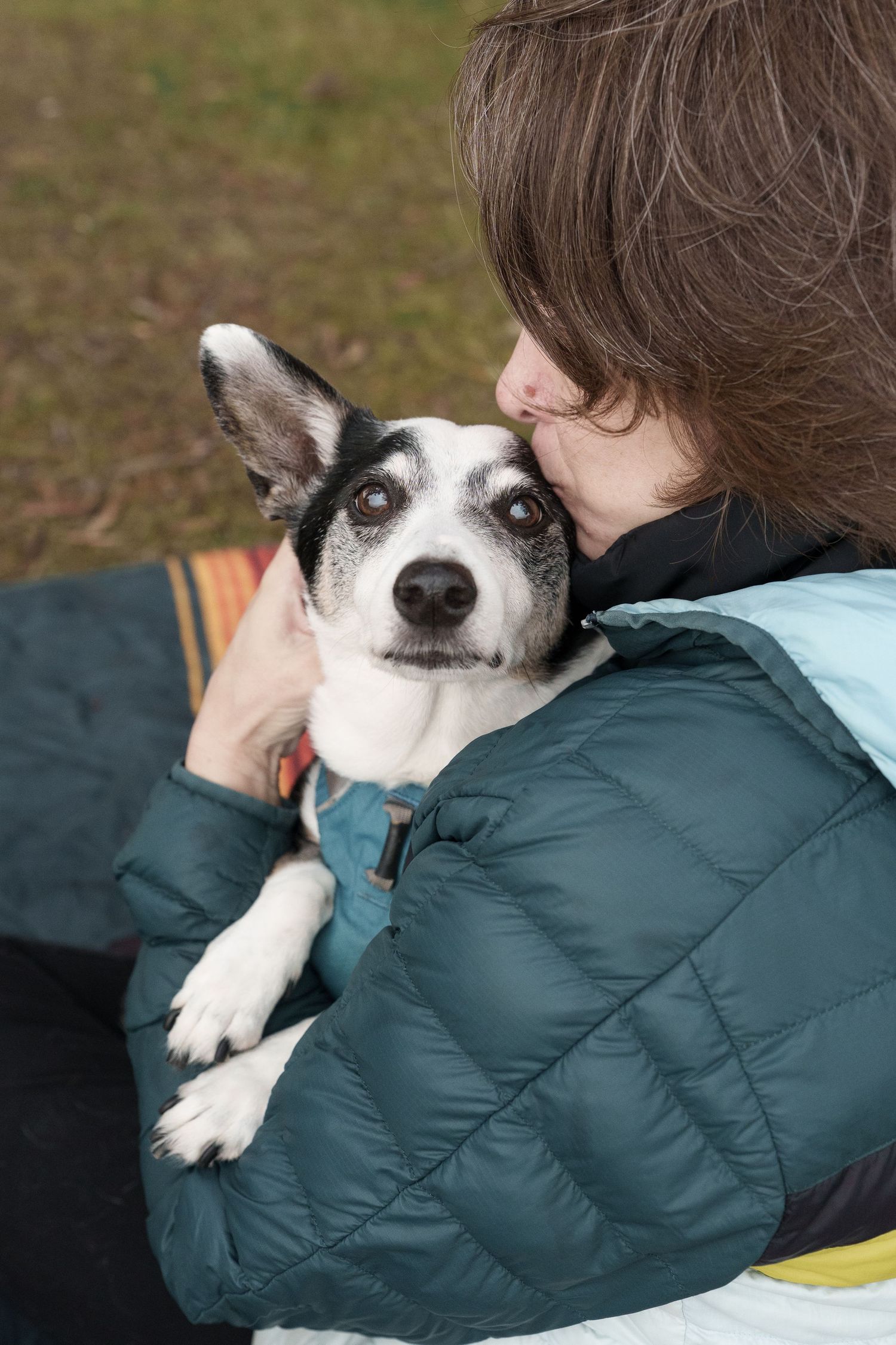 A person in a teal jacket lovingly kisses her small black and white dog outdoors.