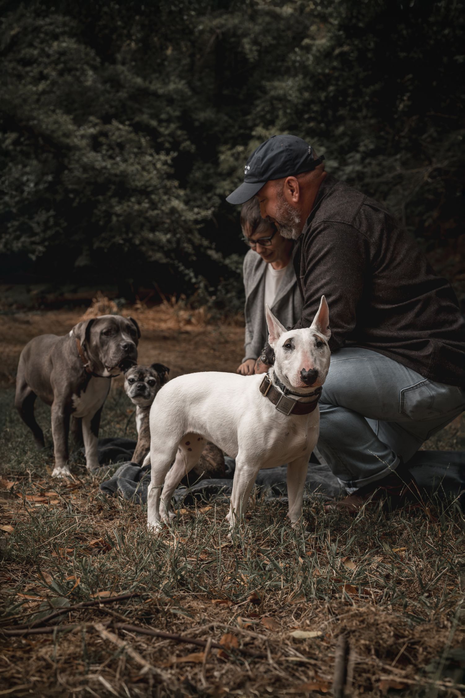 Man in cap with white Bull Terrier and two other dogs in wooded outdoor setting.