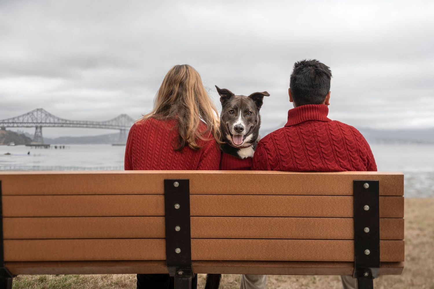 Couple in red sweaters sitting on a bench with a dog looking back at the camera.