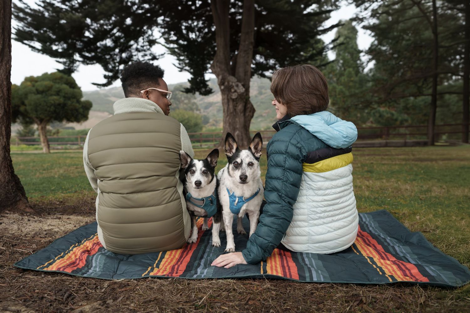 Two people with their cattle dog mix dogs sitting on a blanket during an East Bay lifestyle dog photography session in California.