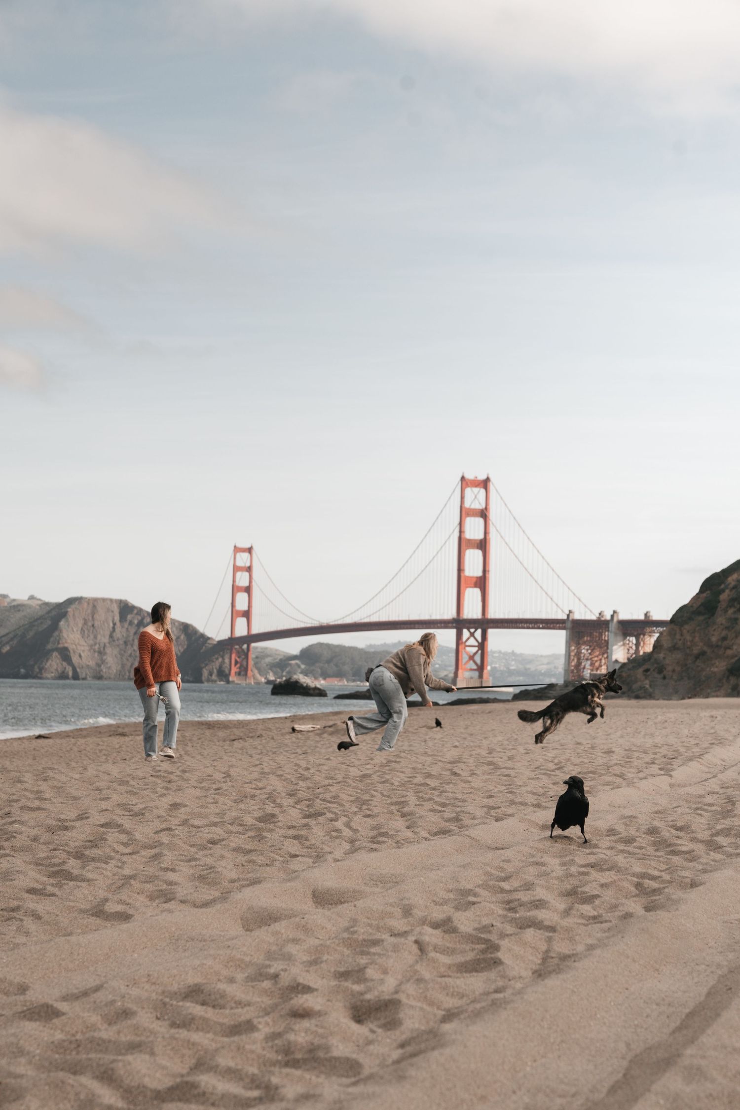 Two people playing with a jumping black dog on beach near Golden Gate Bridge.