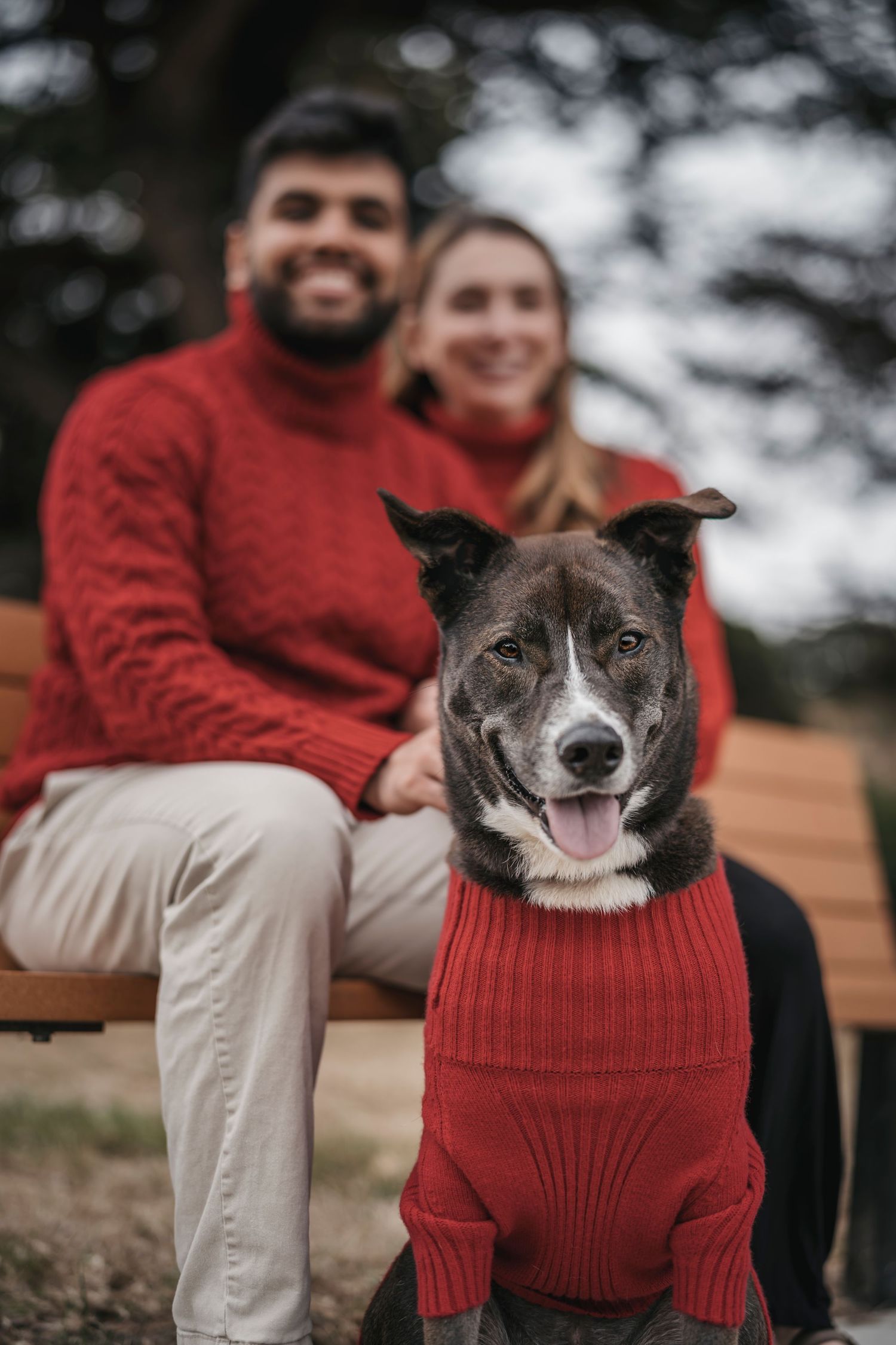 Couple in matching red sweaters sitting on a bench with their dog wearing a red sweater in the foreground.
