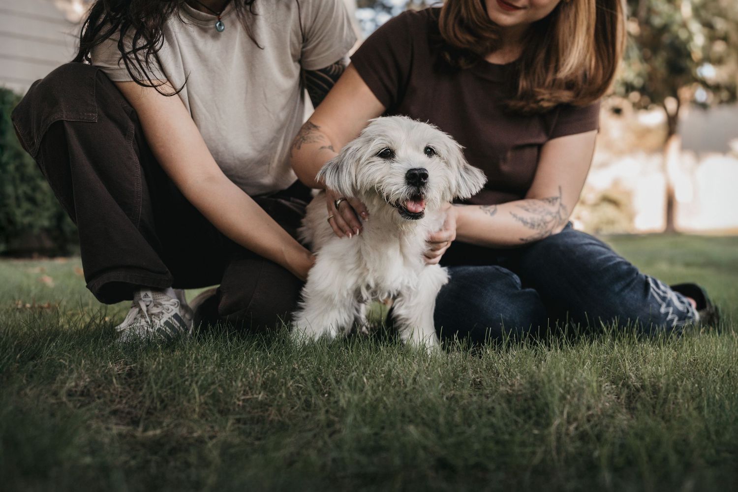 Aussie, a senior dog who traveled across the world with her person, during a celebration-of-life photography session.