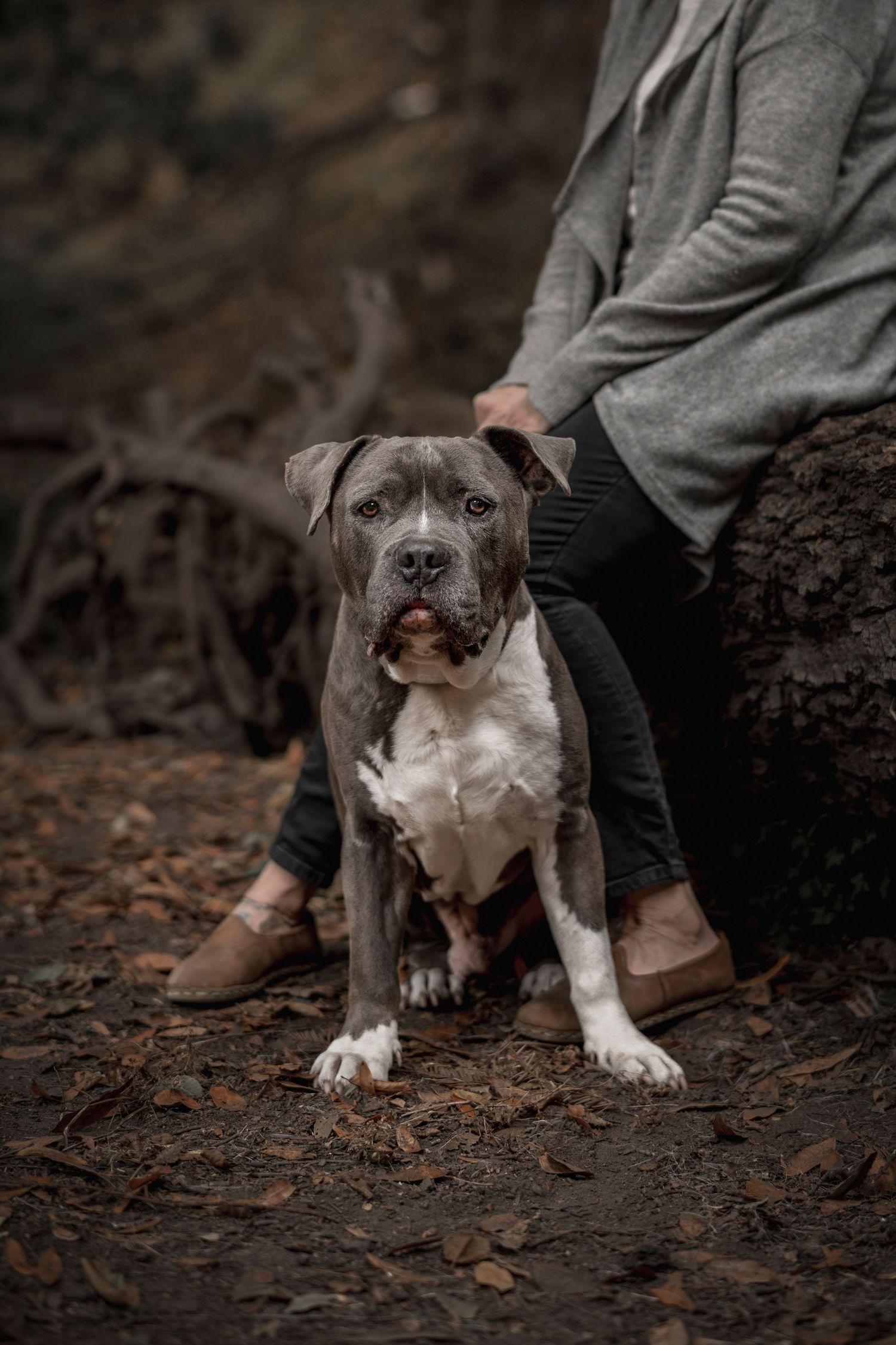 Dumpie resting next to his human in Oakland, capturing a tender moment with only part of the person shown.