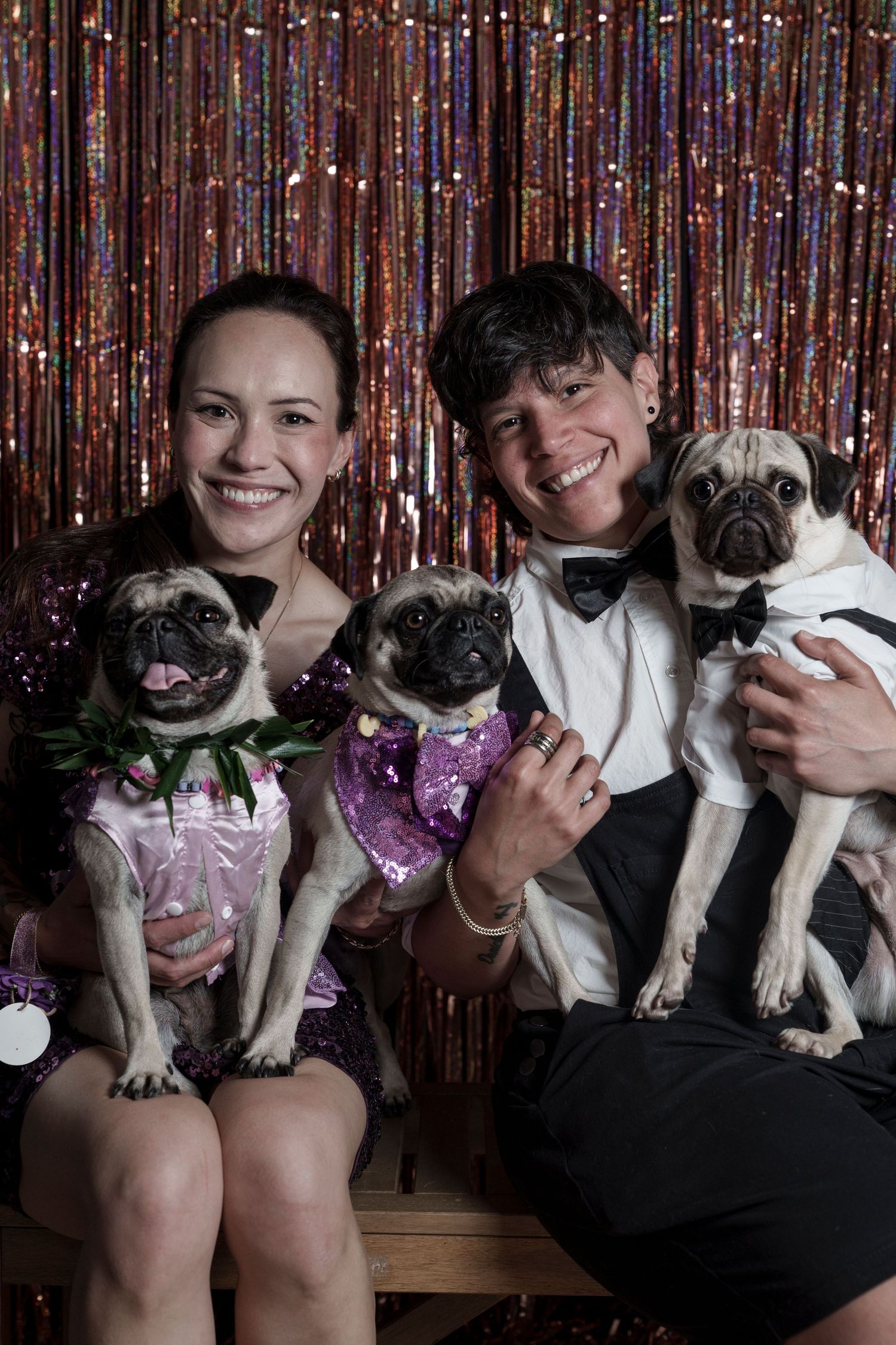 Two smiling women pose with three dressed-up pugs in formal wear against a sparkly backdrop.