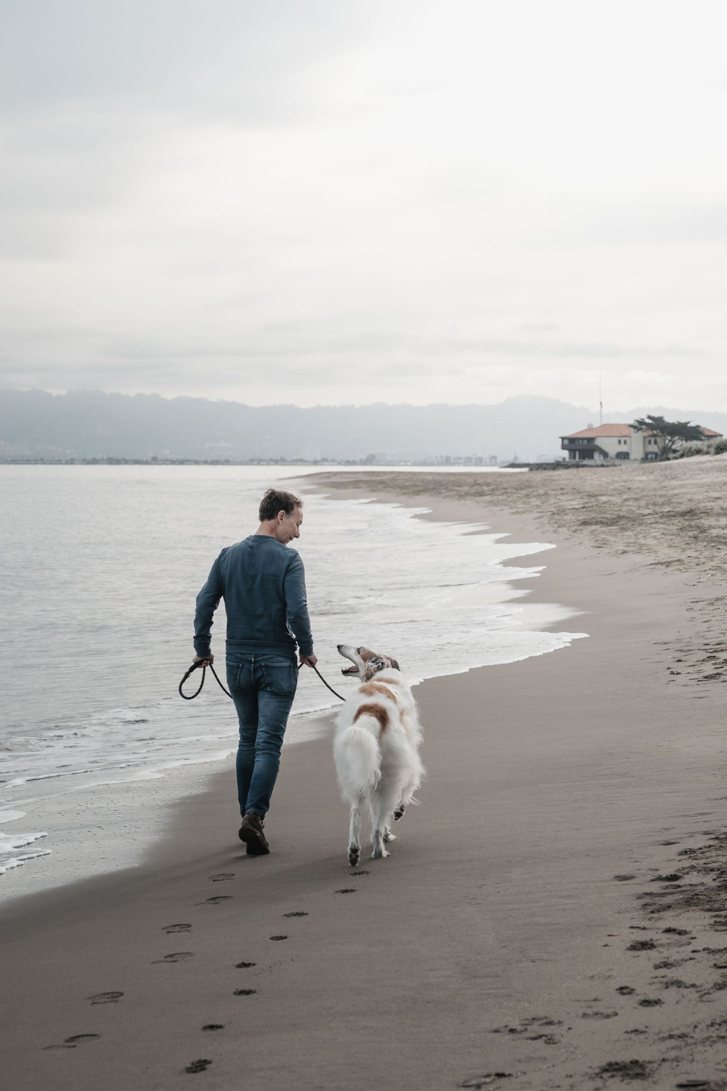 A man walks his white and brown Borzoi dog along a quiet sandy beach at dusk near the ocean at Chrissy Field, a popular dog beach in SF