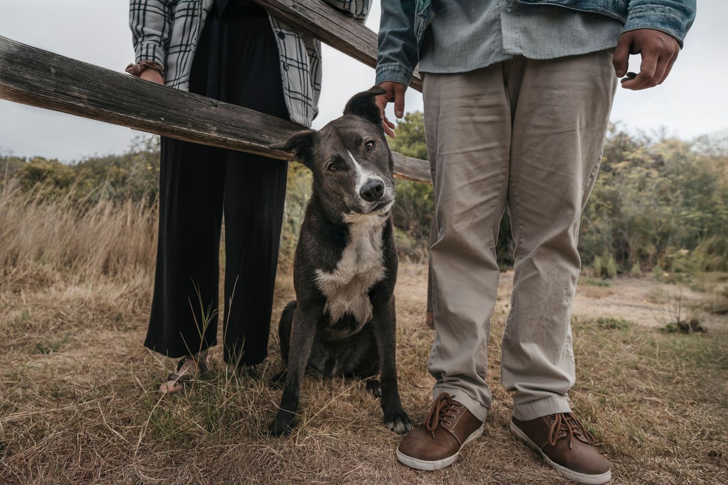 Dog sitting between a couple's legs near a wooden fence post in a grassy outdoor setting.