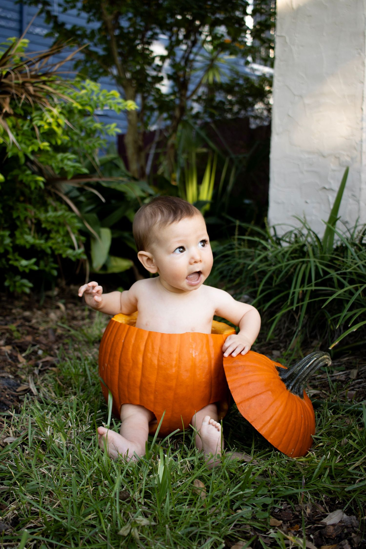 Baby photoshoot of a baby sitting inside a pumpkin, with their feet playfully sticking out.