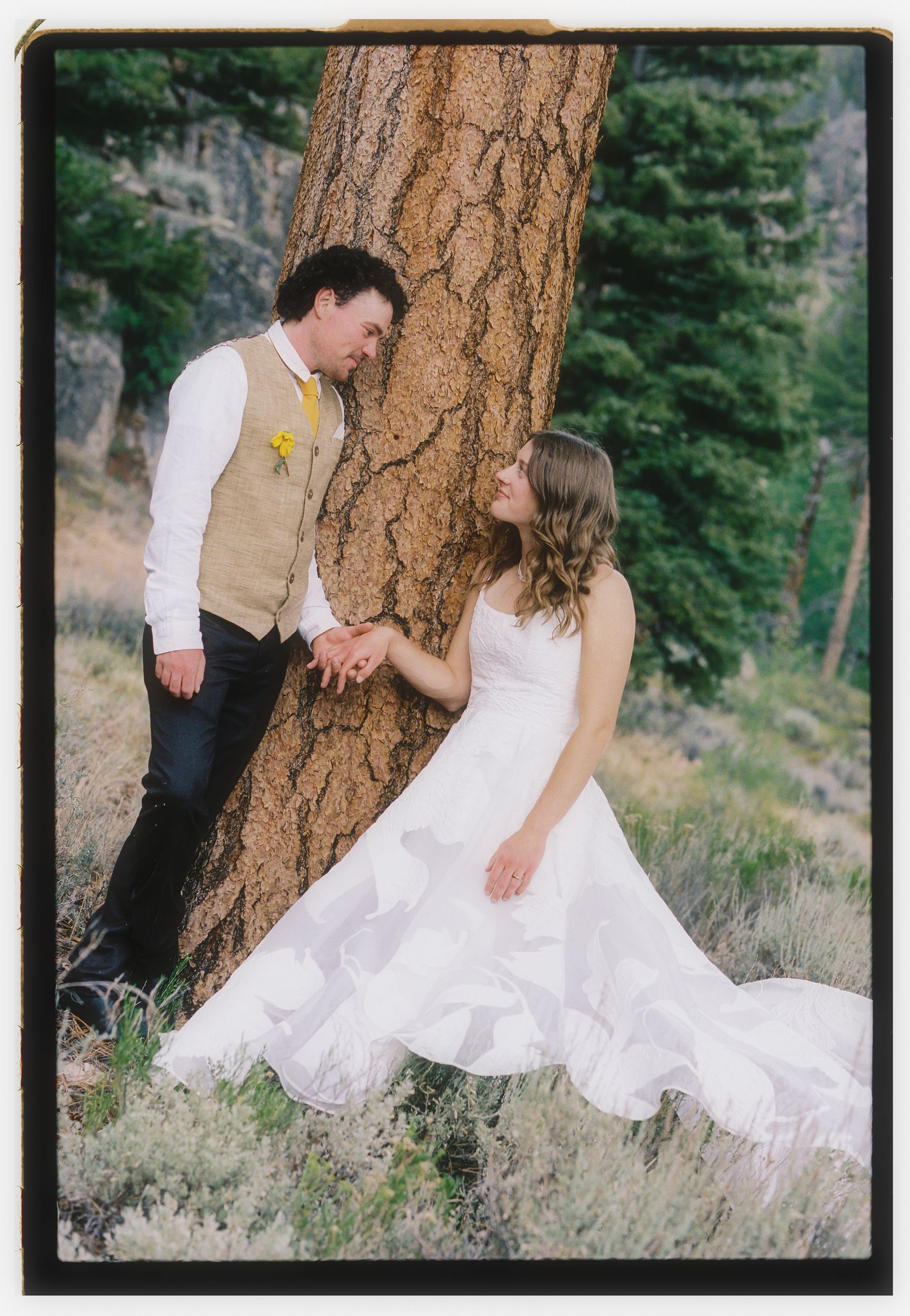 Bride in white gown and groom in tan vest hold hands by a pine tree in a forest wedding portrait.