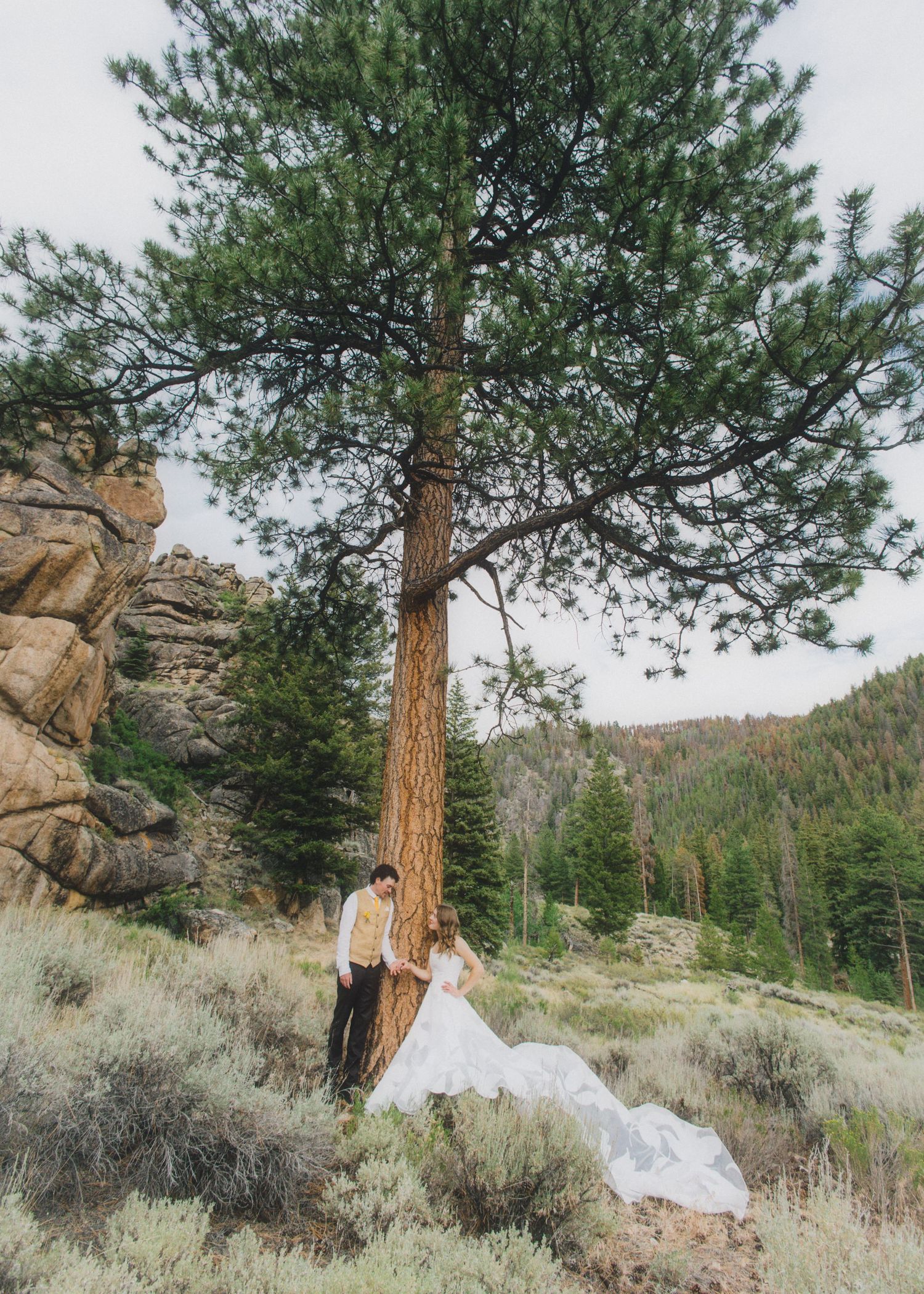 Bride and groom standing beneath a tall pine tree in a rocky mountain landscape during their outdoor wedding.