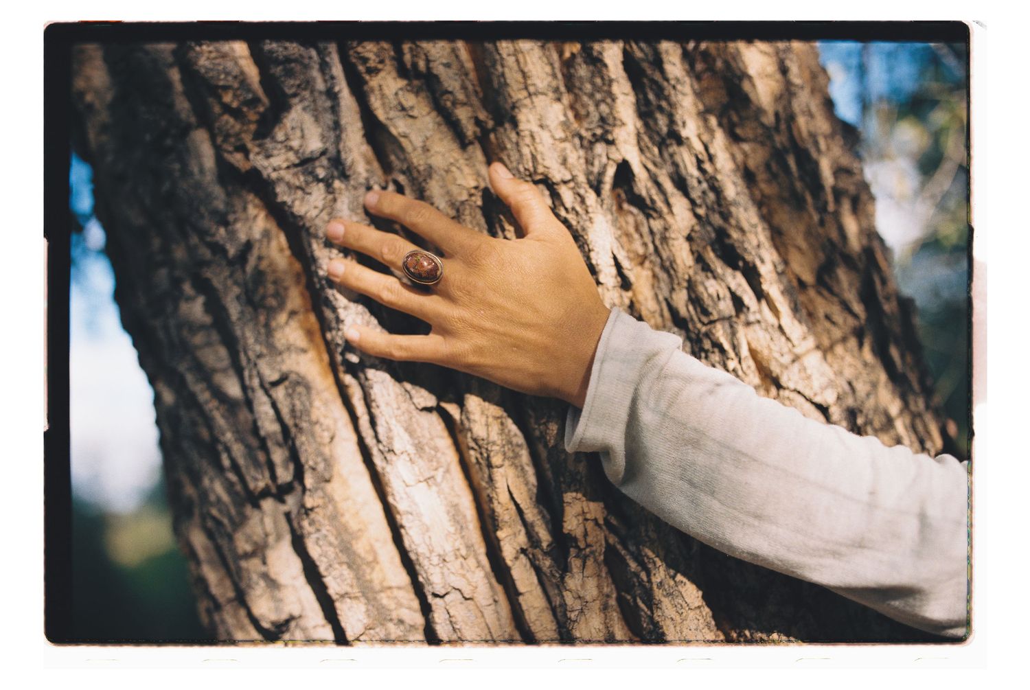 A hand with a ring resting on the textured bark of a large tree trunk outdoors.
