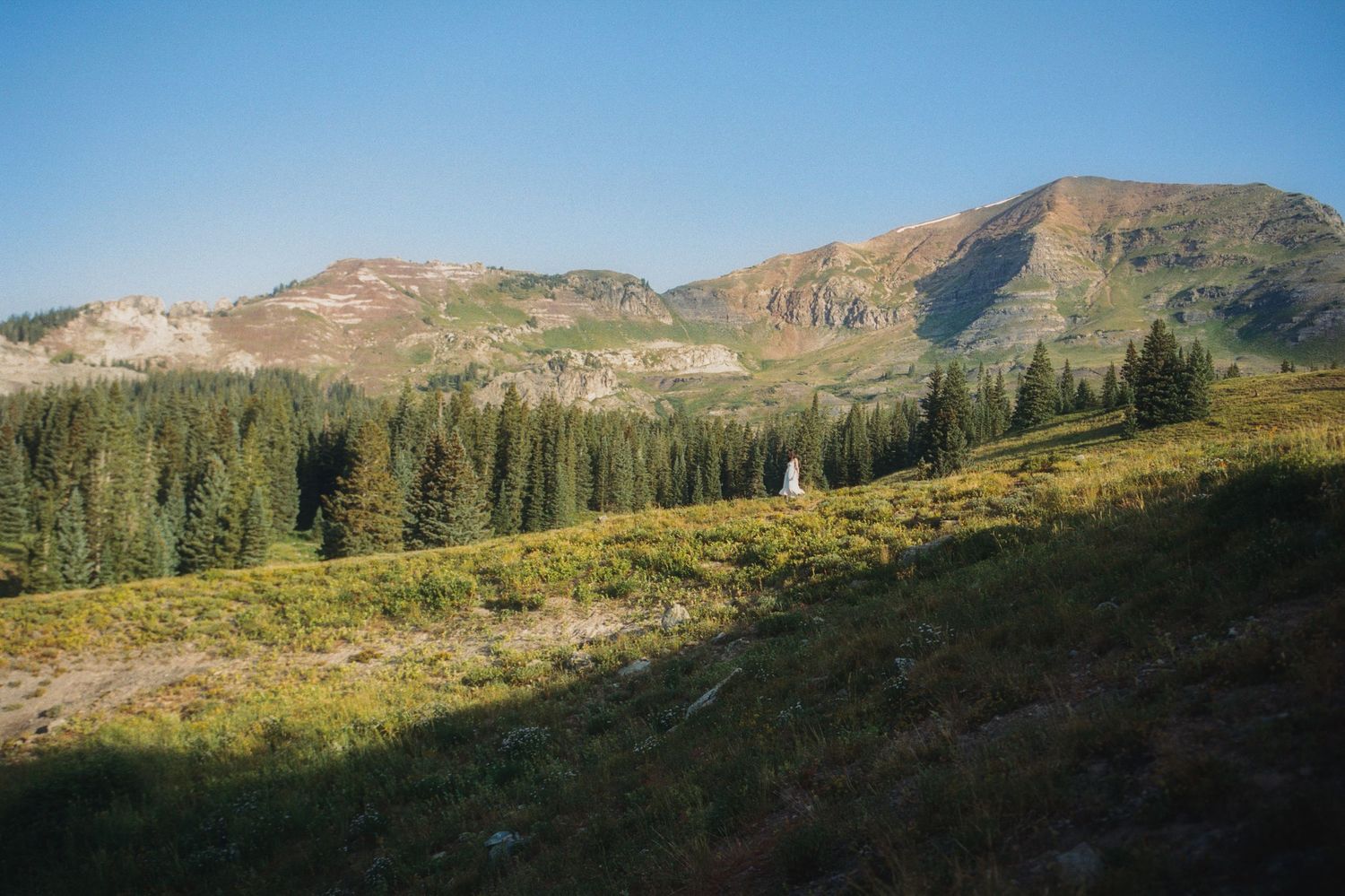 Scenic mountain landscape with evergreen forest, wildflower meadows, and rocky peaks under a clear blue sky.