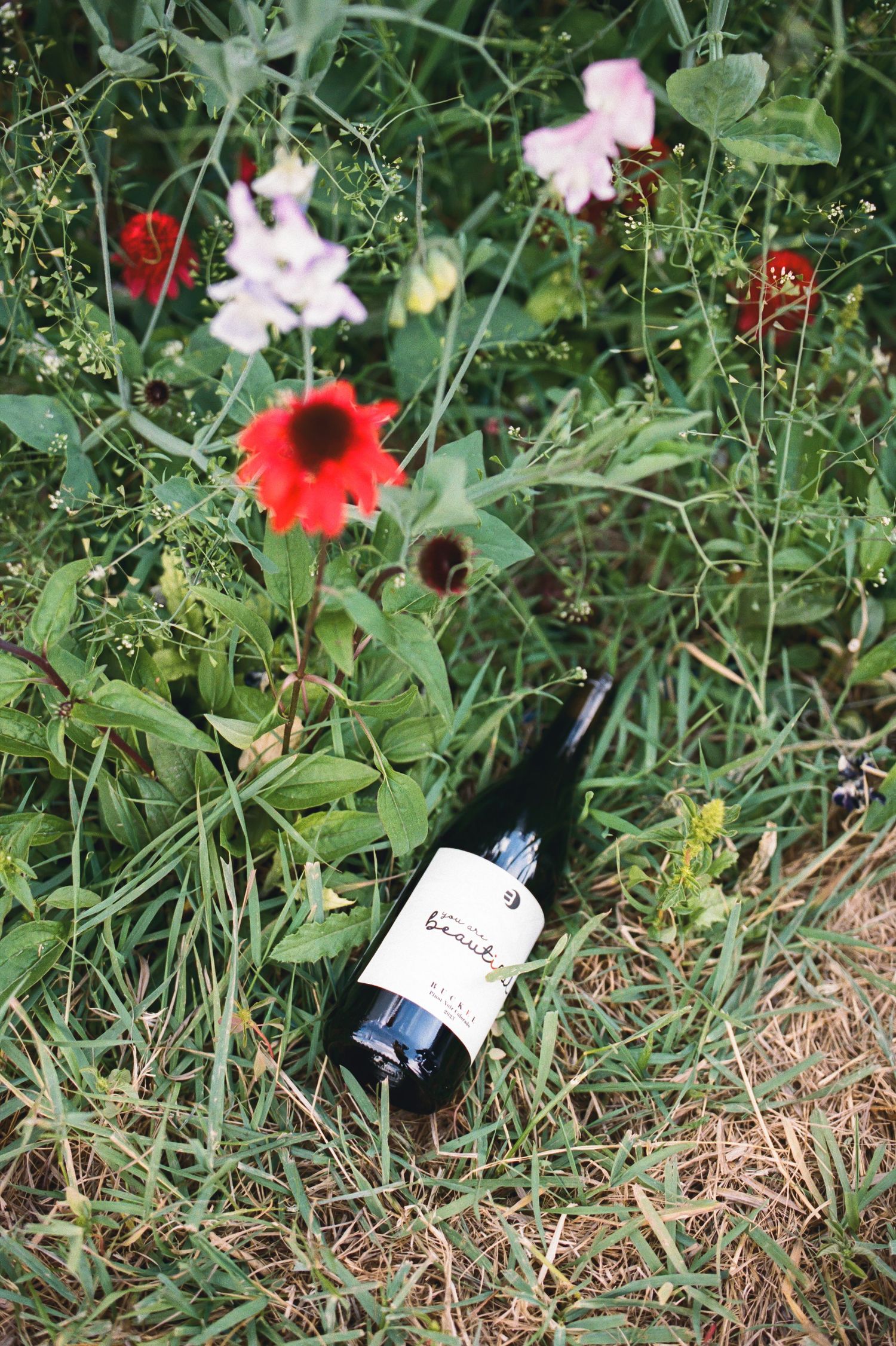 A wine bottle lying in a lush garden among colorful wildflowers including red echinacea and pink blooms.