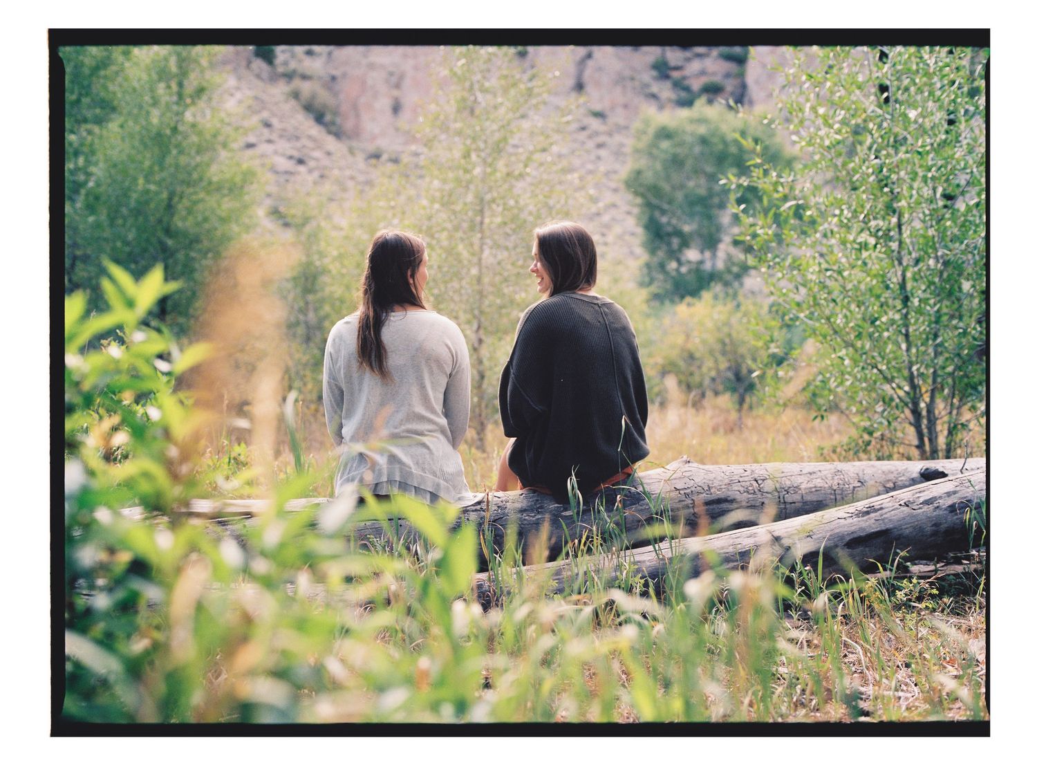 Two people sitting on a log surrounded by lush greenery and trees in a scenic outdoor landscape.