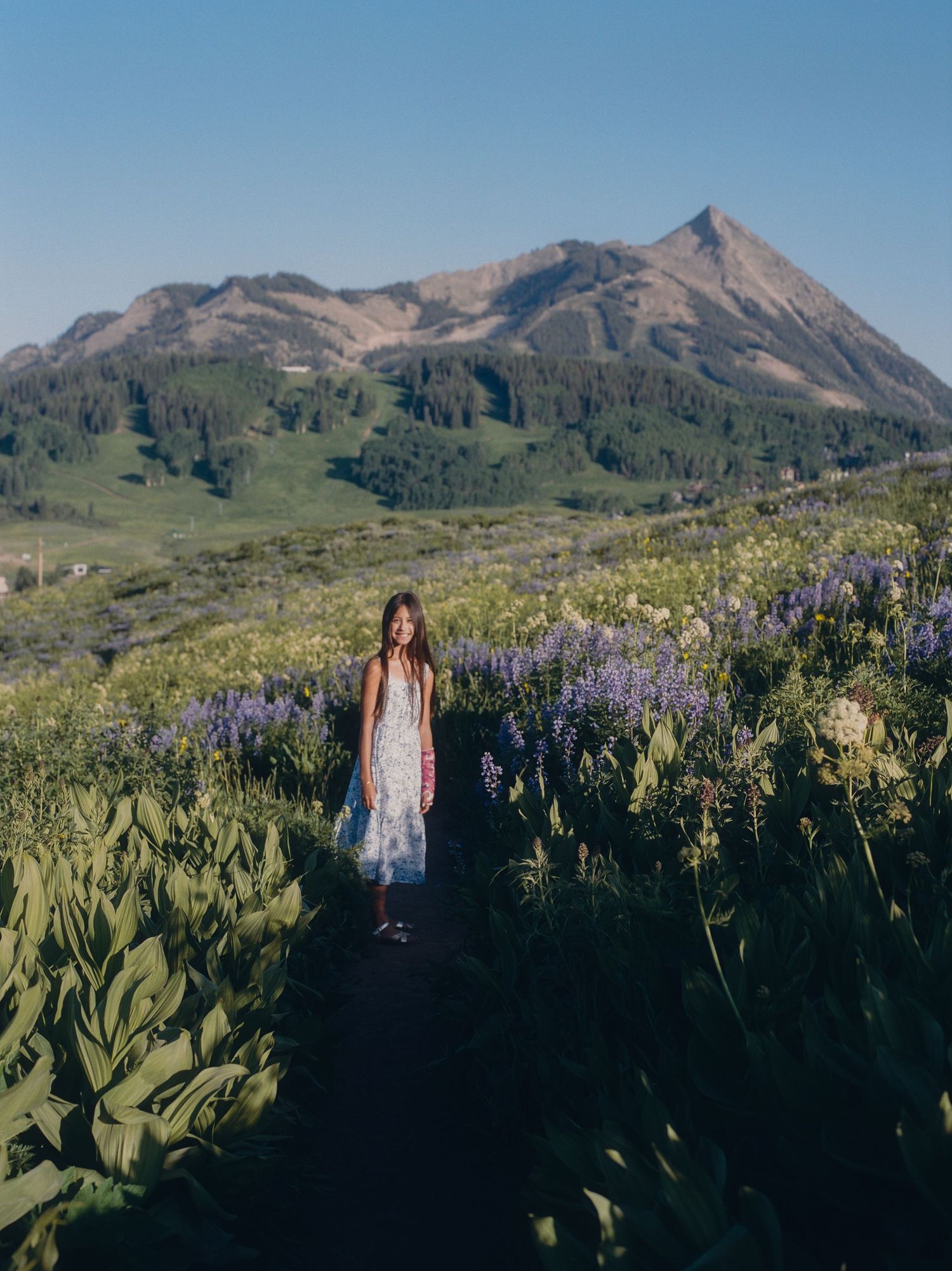 A woman in a white dress stands among purple wildflowers with a dramatic mountain peak in the background.