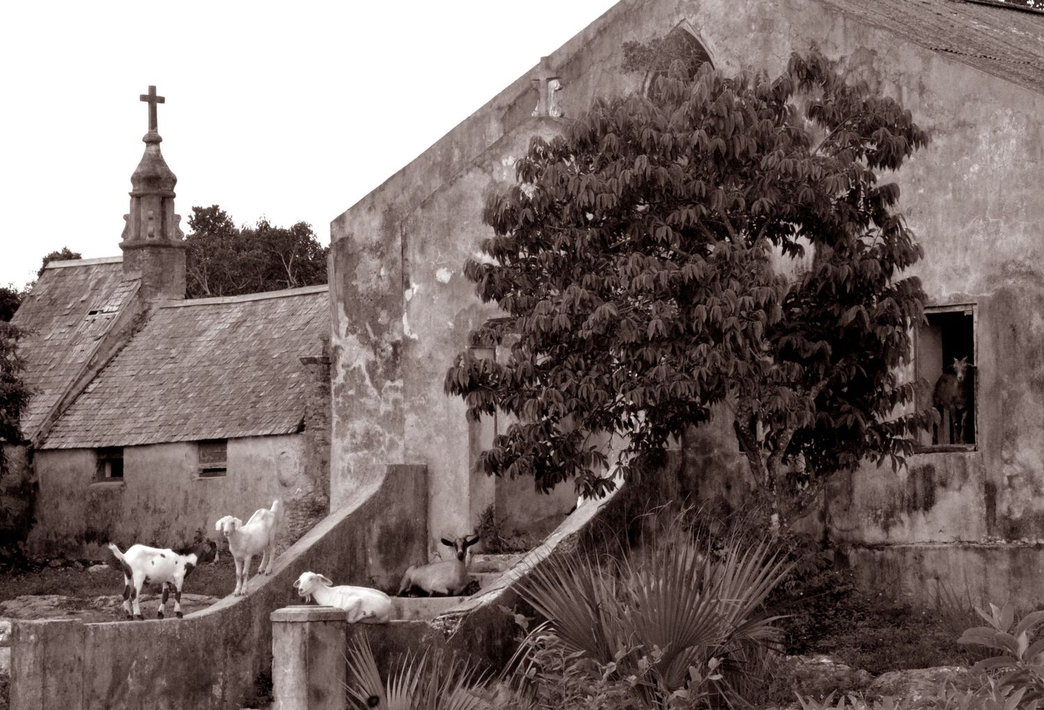 Black and white photo of an old stone church with tree growing beside weathered wall.