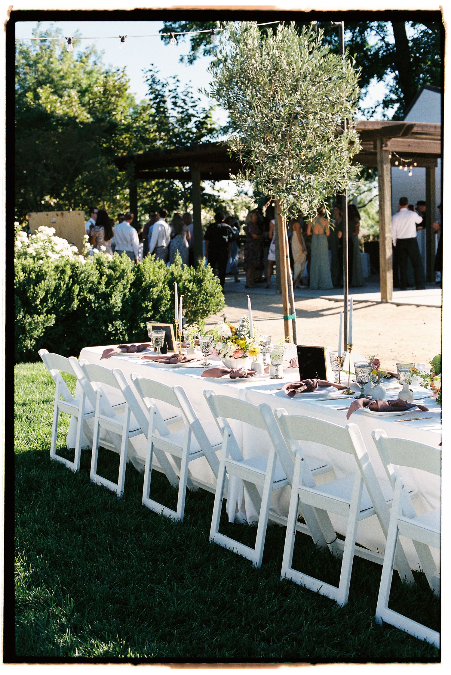 Elegant outdoor wedding reception with long white-draped table, white folding chairs on green lawn, and guests mingling under pergola.