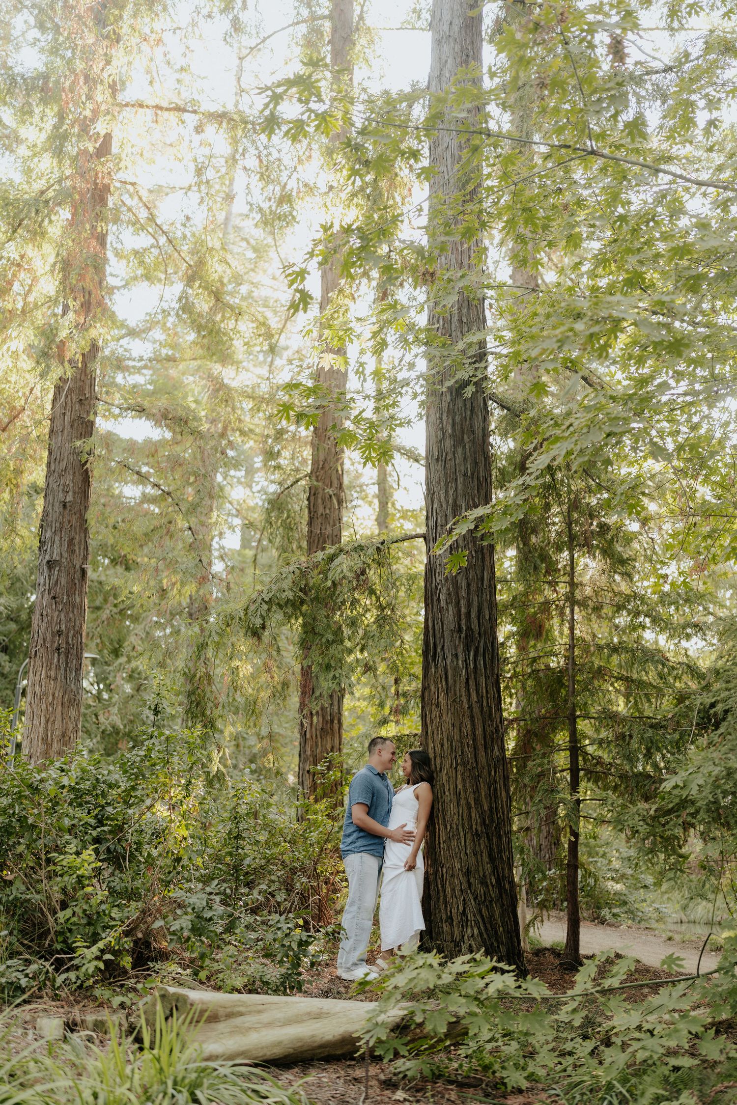 Couple kissing among tall redwood trees in a lush green forest, romantic outdoor engagement photo session.