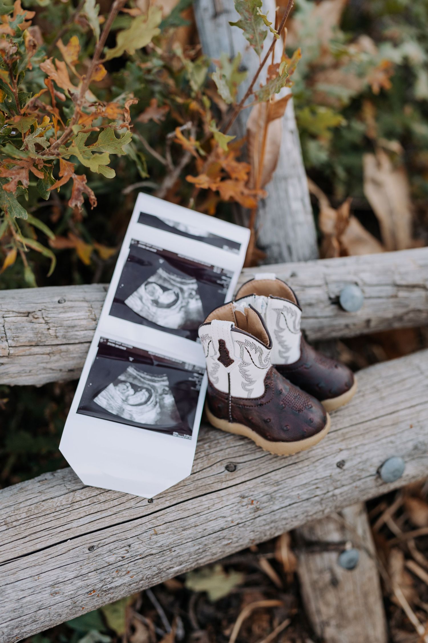 Baby cowboy boots and ultrasound photos resting on rustic wooden fence for pregnancy announcement.