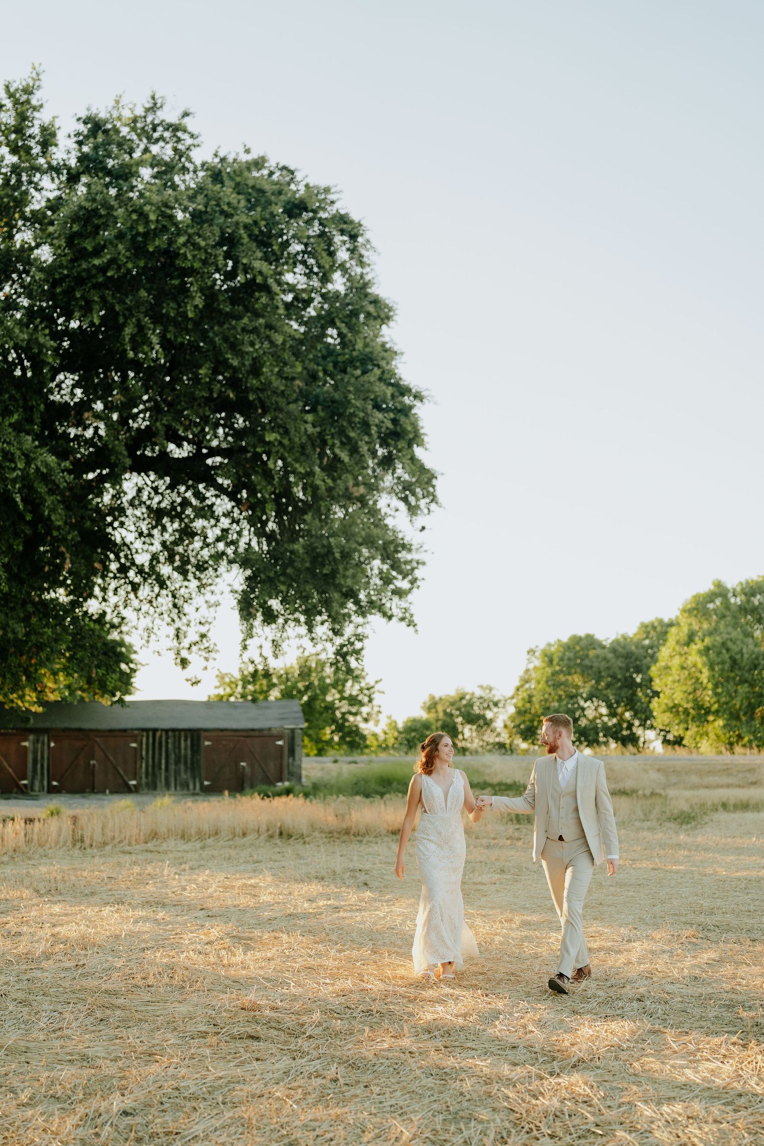 Bride and groom walk hand-in-hand through golden field with large oak tree and barn at sunset.