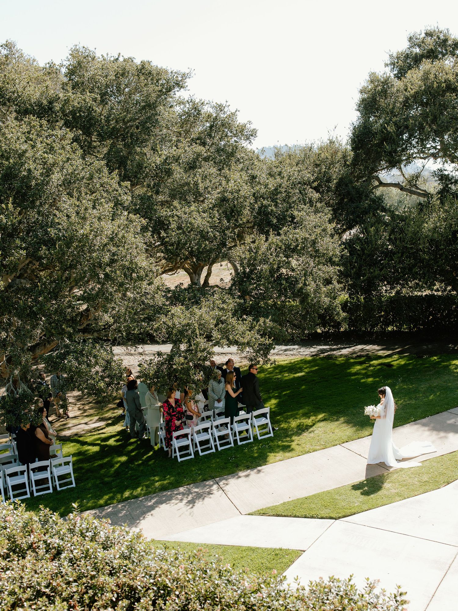 Aerial view of an outdoor wedding ceremony on lush green lawn surrounded by oak trees with guests seated in white chairs.