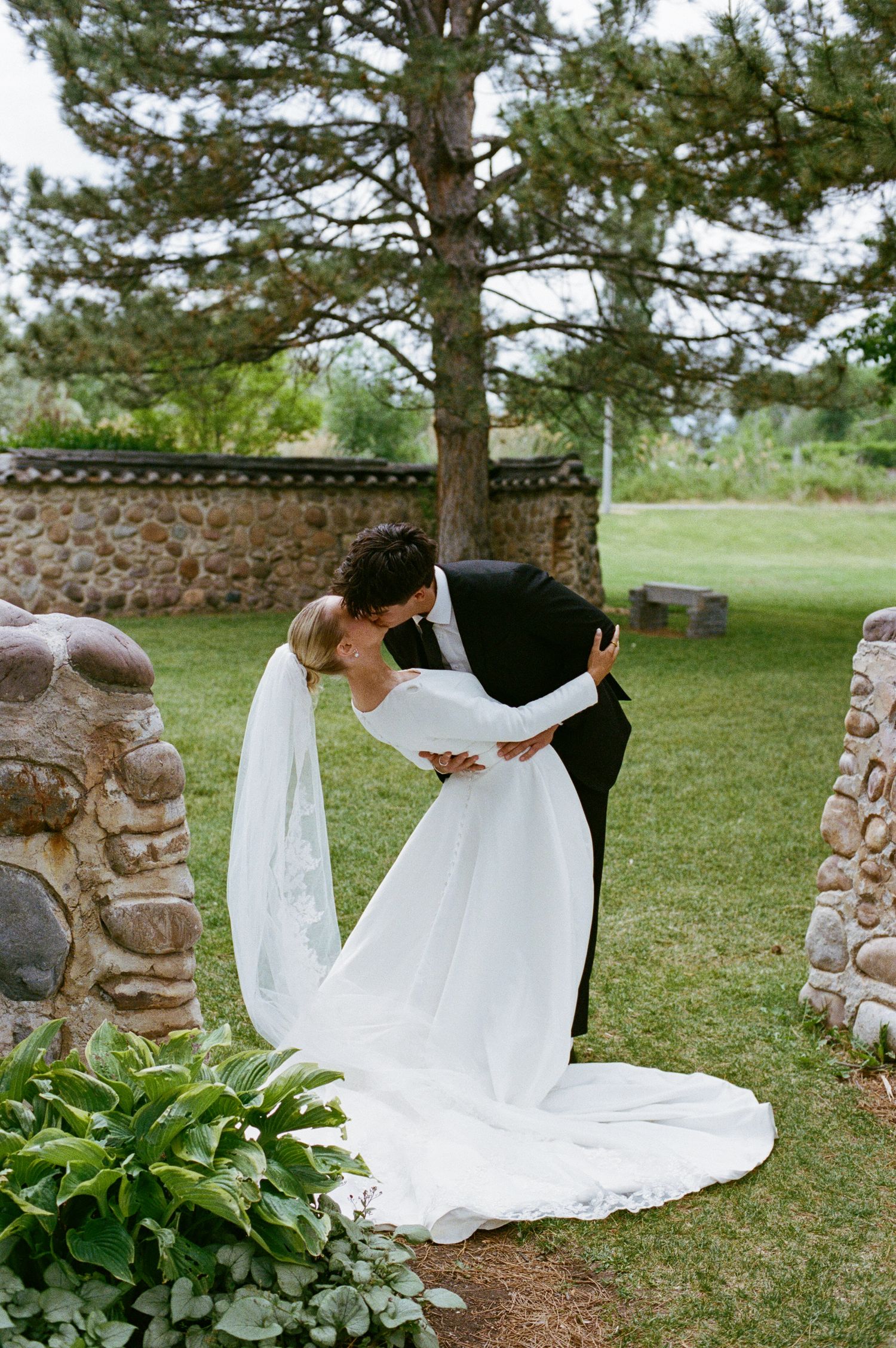 Bride and groom share a romantic dip kiss on a lush green lawn beside a stone wall and pine tree.