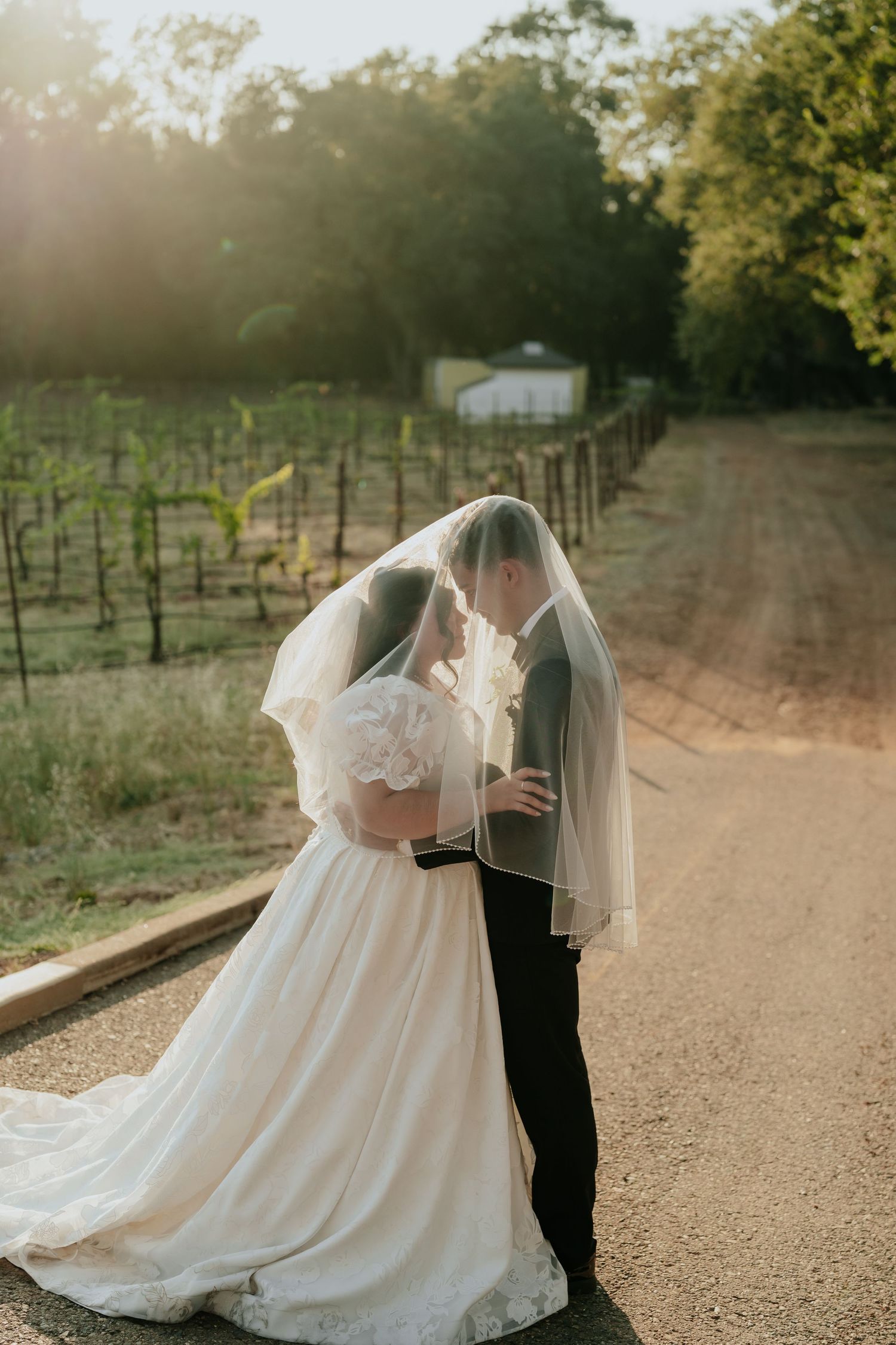 Bride and groom sharing a romantic kiss under a veil at golden hour beside a vineyard.