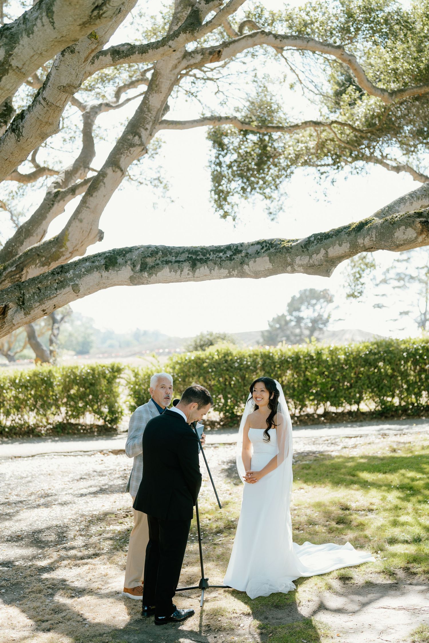 Outdoor wedding ceremony under a large oak tree at a vineyard, with bride in white gown and officiant reading vows.