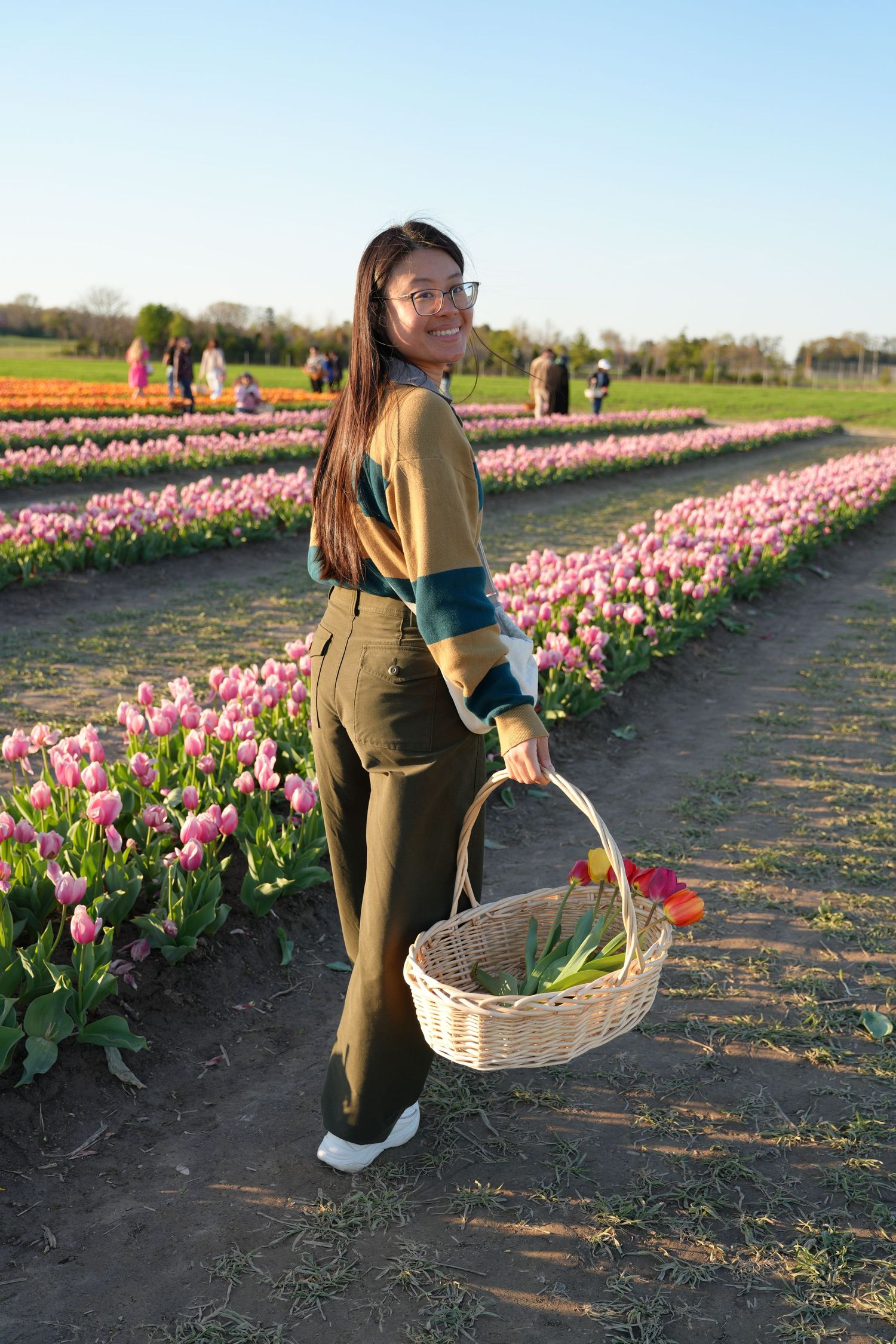 A client at a tulip garden holds a wicker basket while standing among rows of pink flowers.
