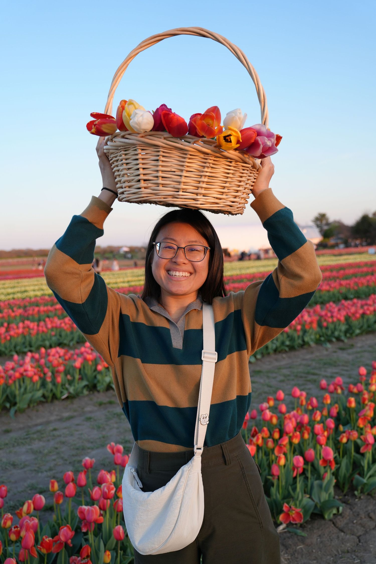 A client holds up a basket of colorful picked tulips against a blue sky at a flower farm.