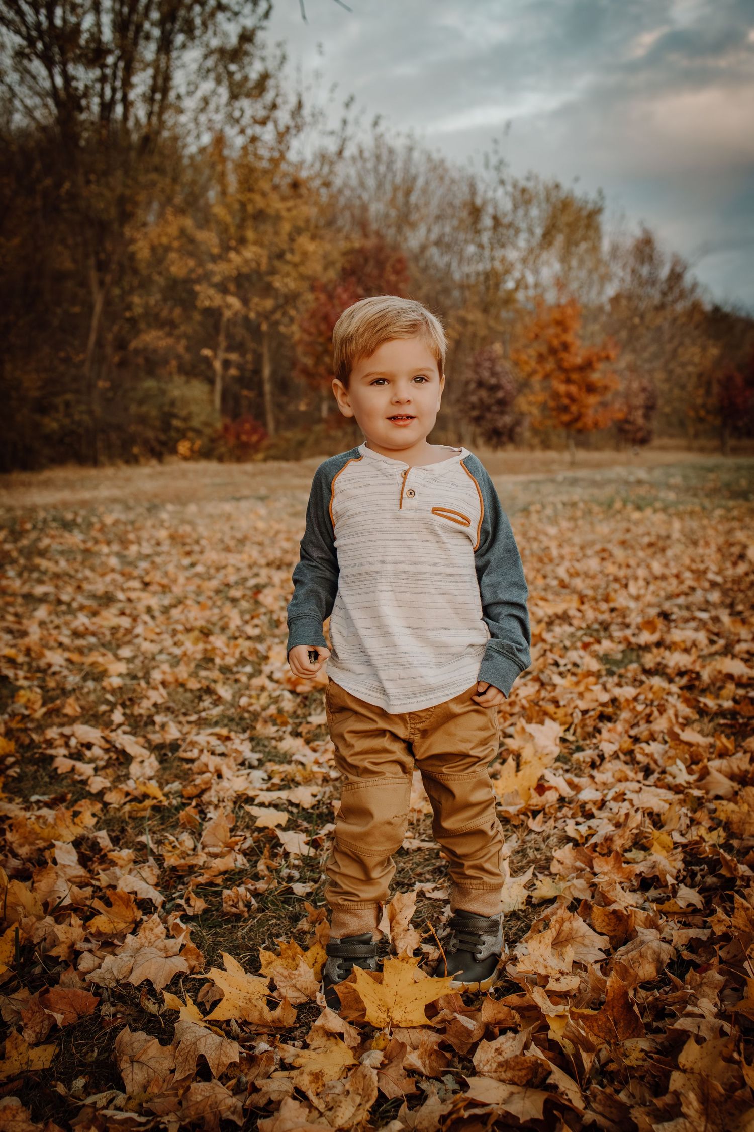 A small child stands in a field of fallen autumn leaves on an overcast day.