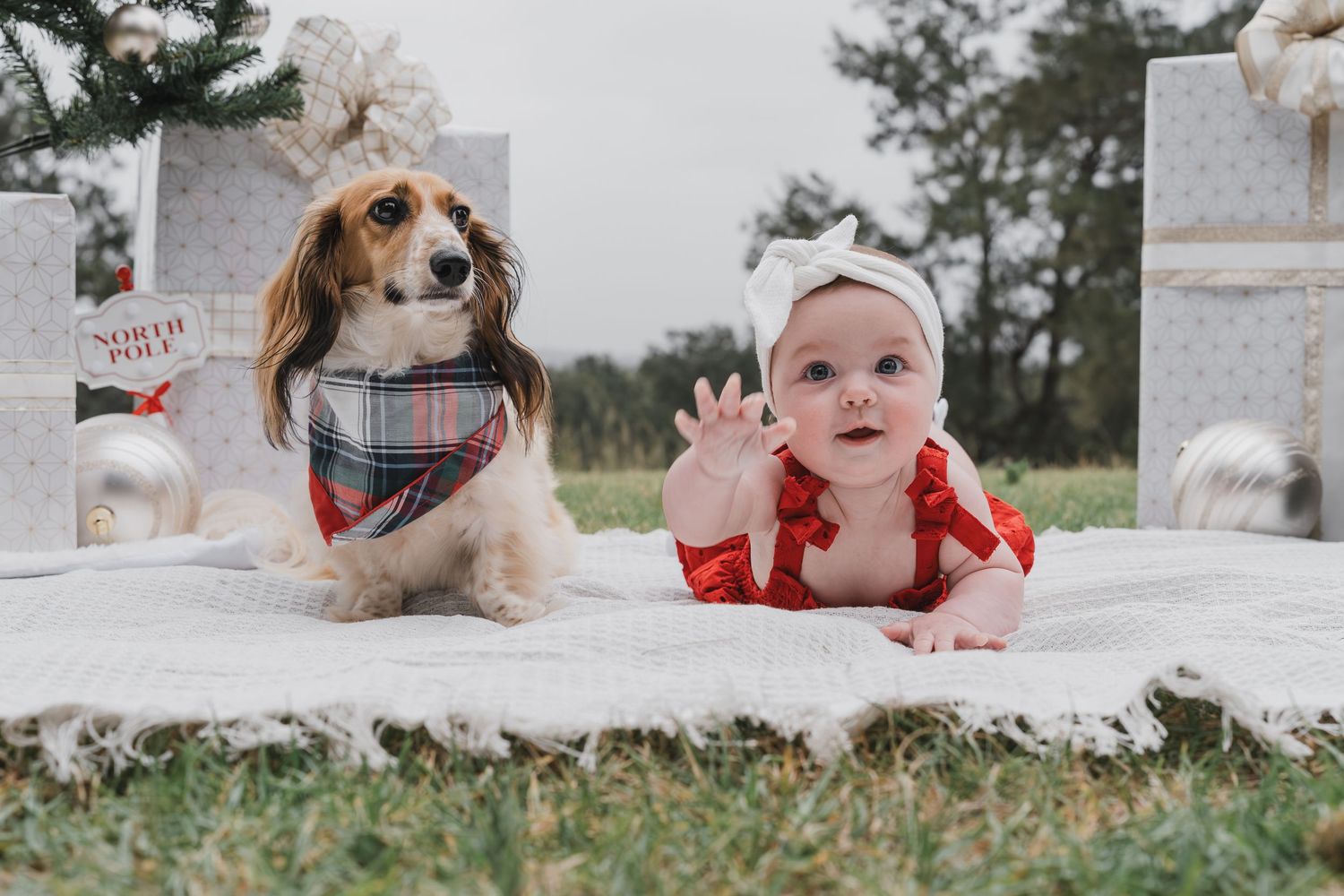 Penrith & Western Sydney Christmas Photography