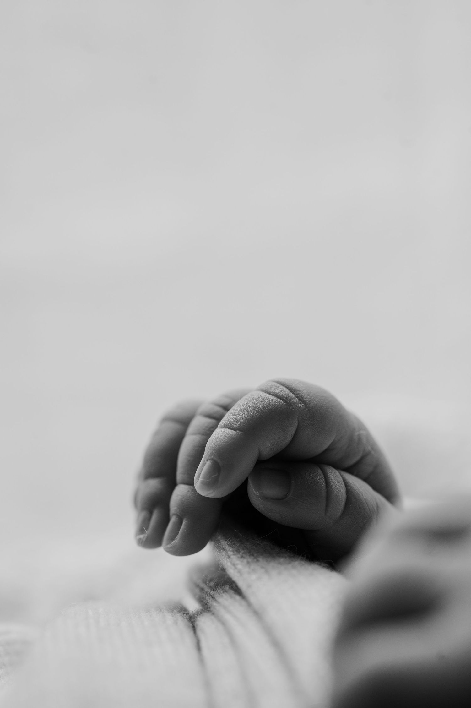 Black and white close-up of a delicate newborn baby fist resting on a soft white blanket.