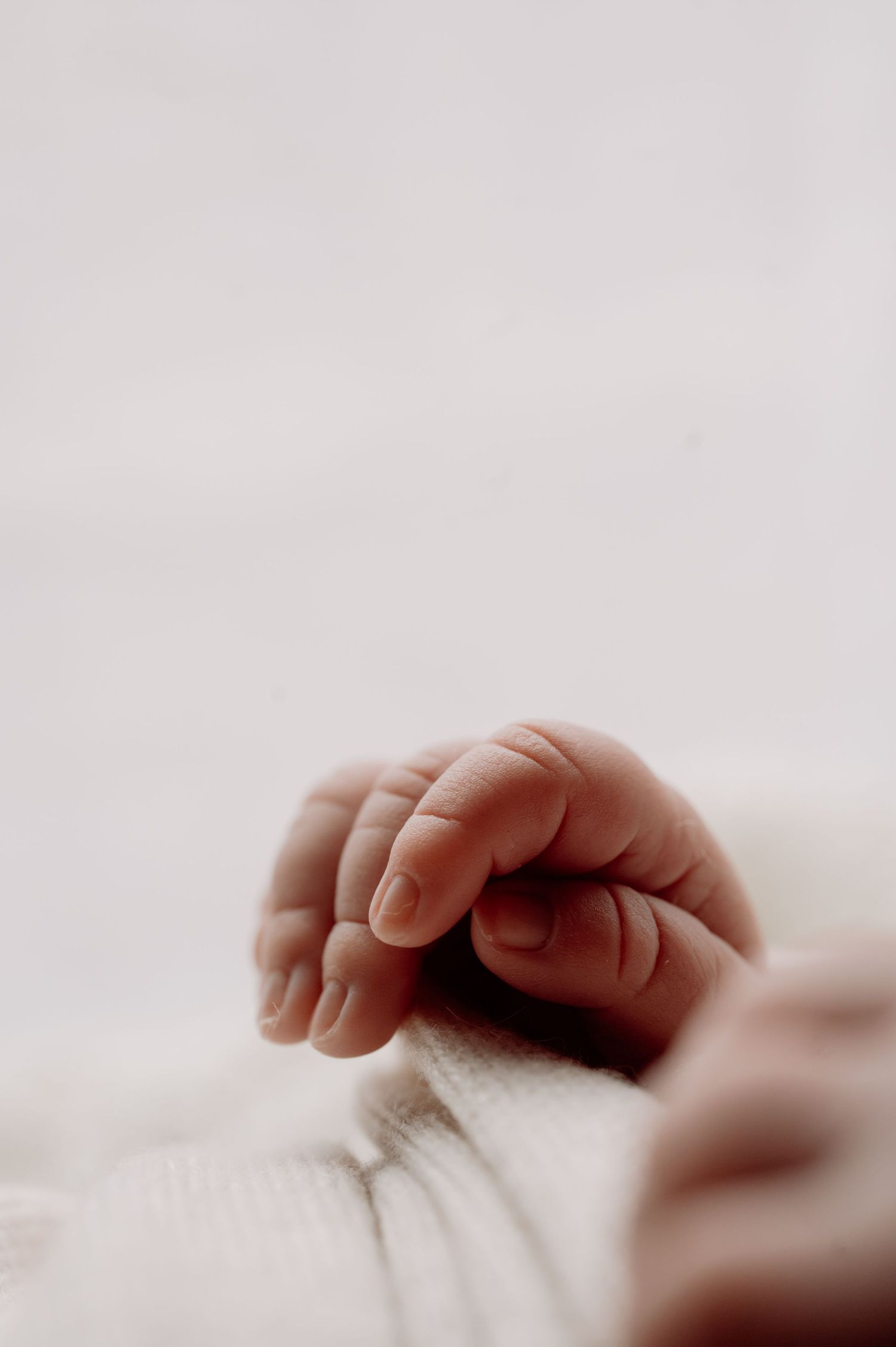 Close-up of a tiny newborn baby hand gently curled into a fist on a white blanket.