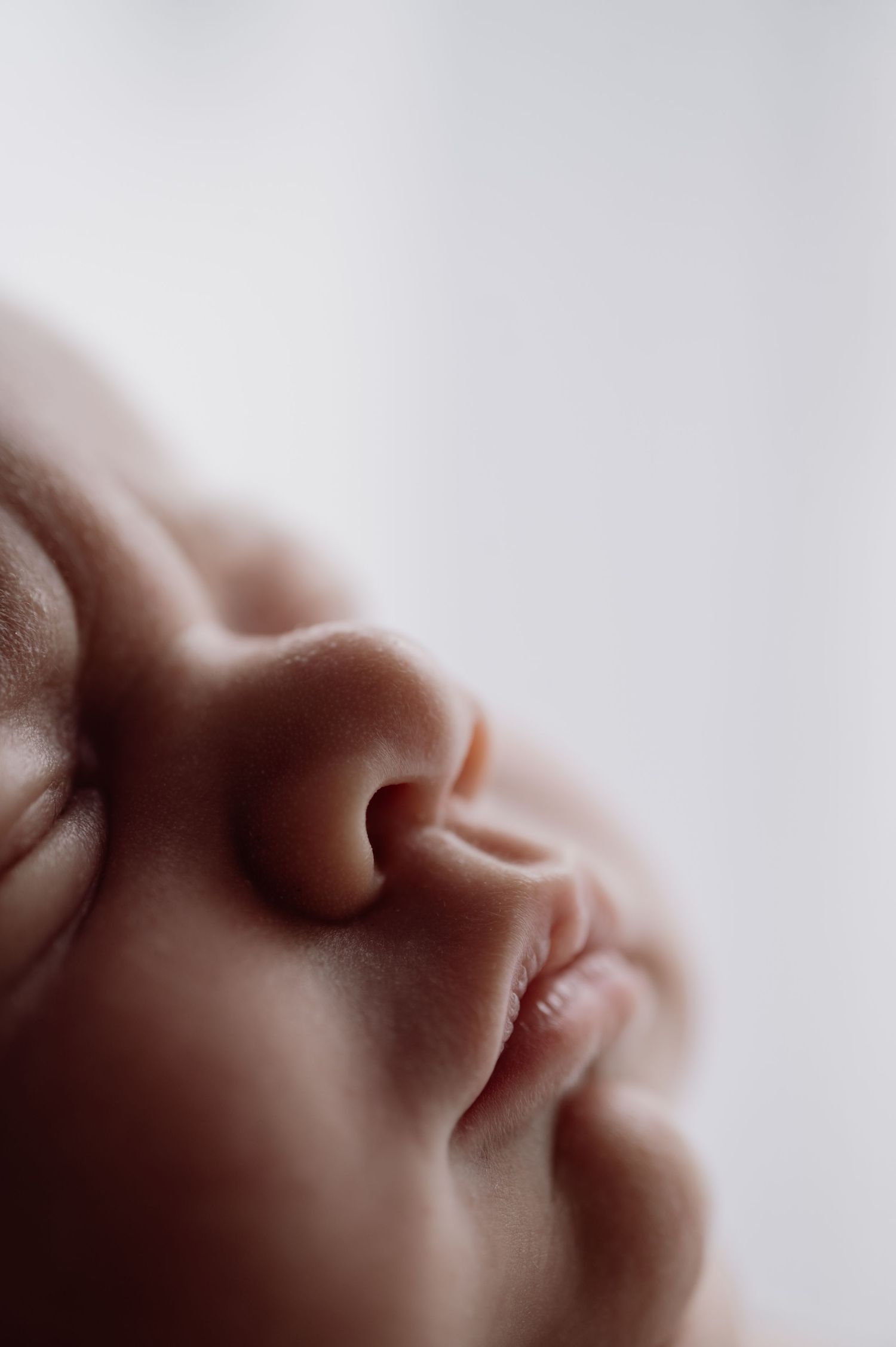 Extreme close-up macro photo of a sleeping newborn baby's nose and lips against a soft white background.