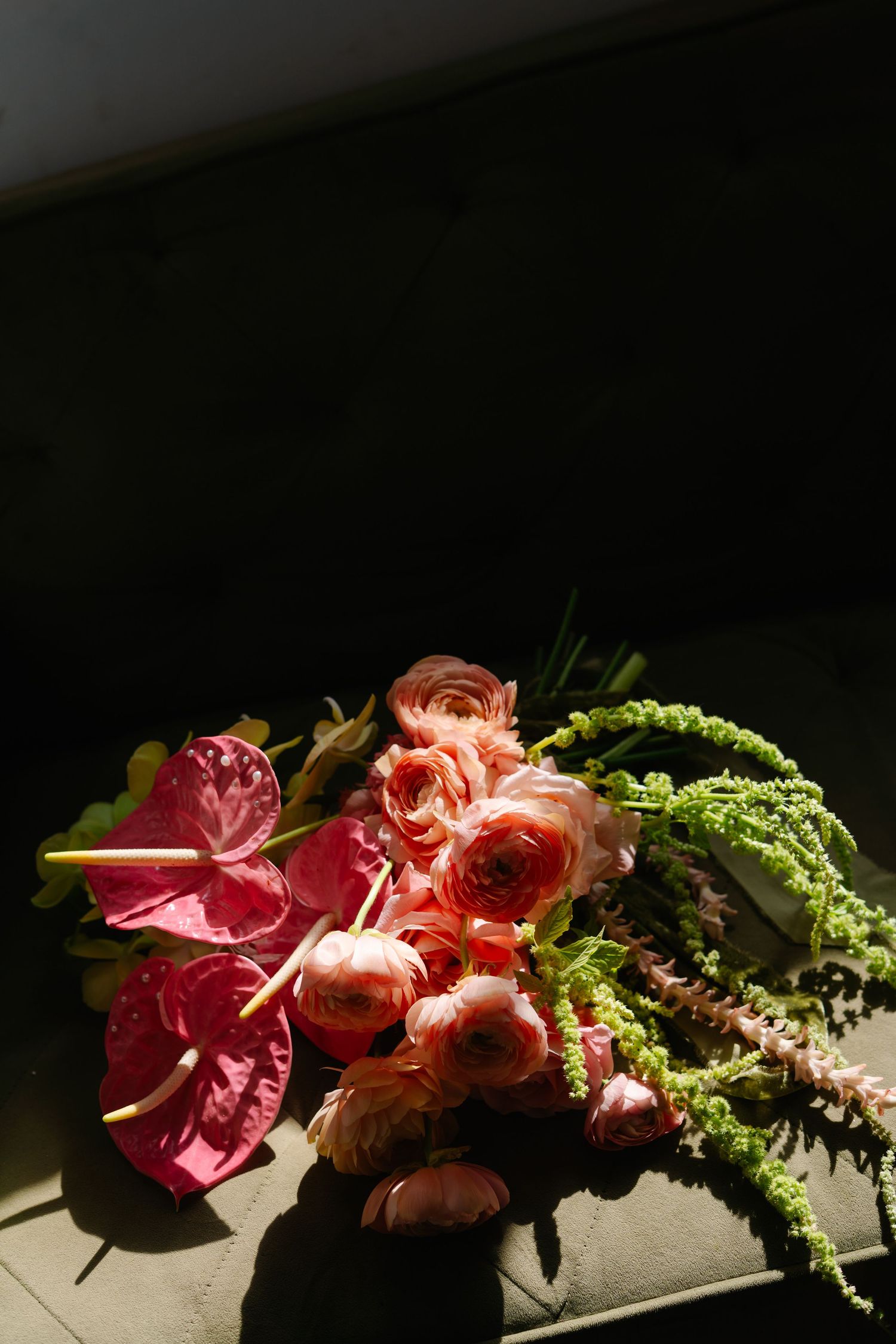 Dramatic lighting illuminates pink and coral roses with green foliage in a dark setting.