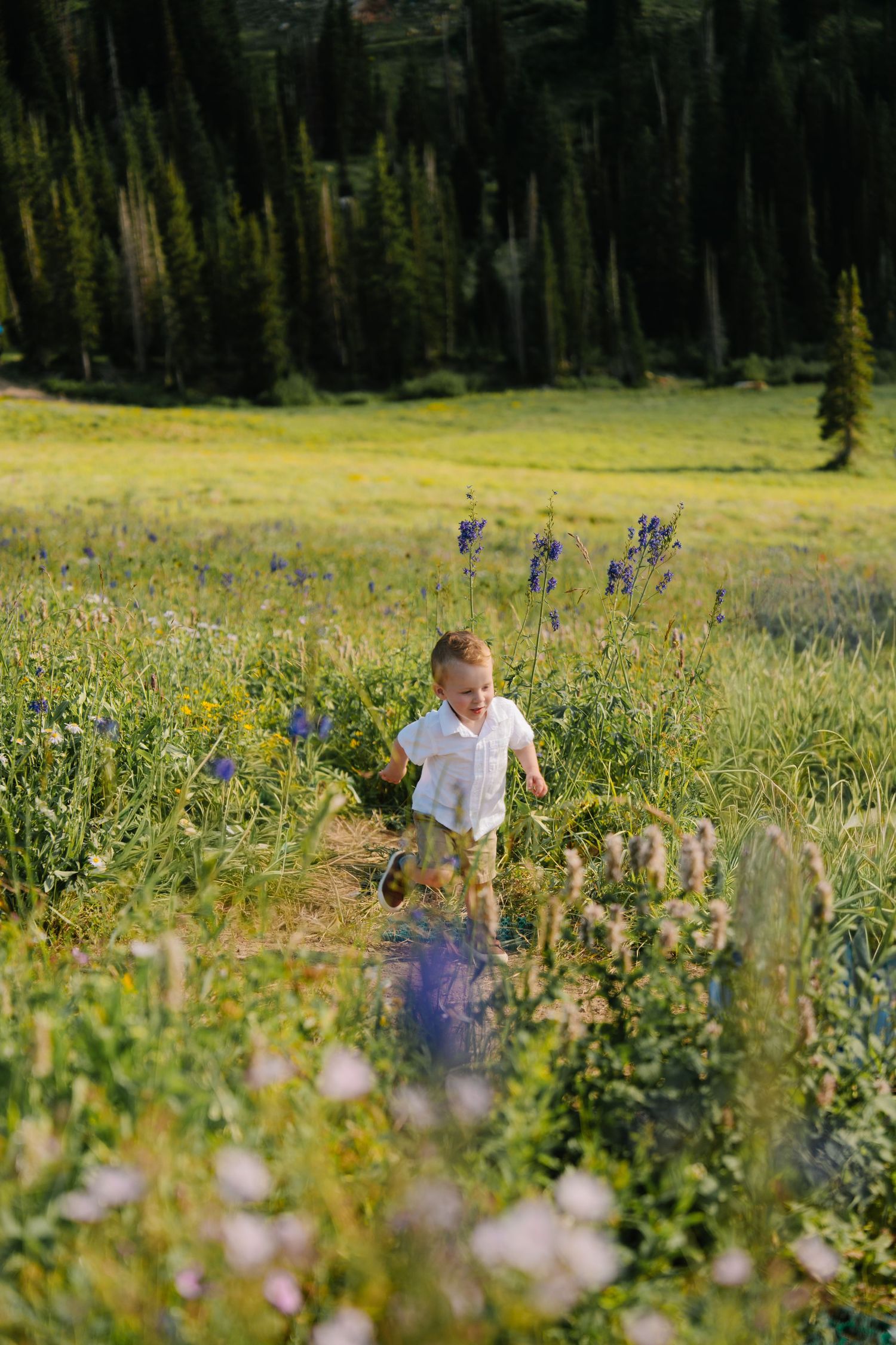 A young boy in a white shirt runs joyfully through a vibrant wildflower meadow with tall evergreen trees behind him.