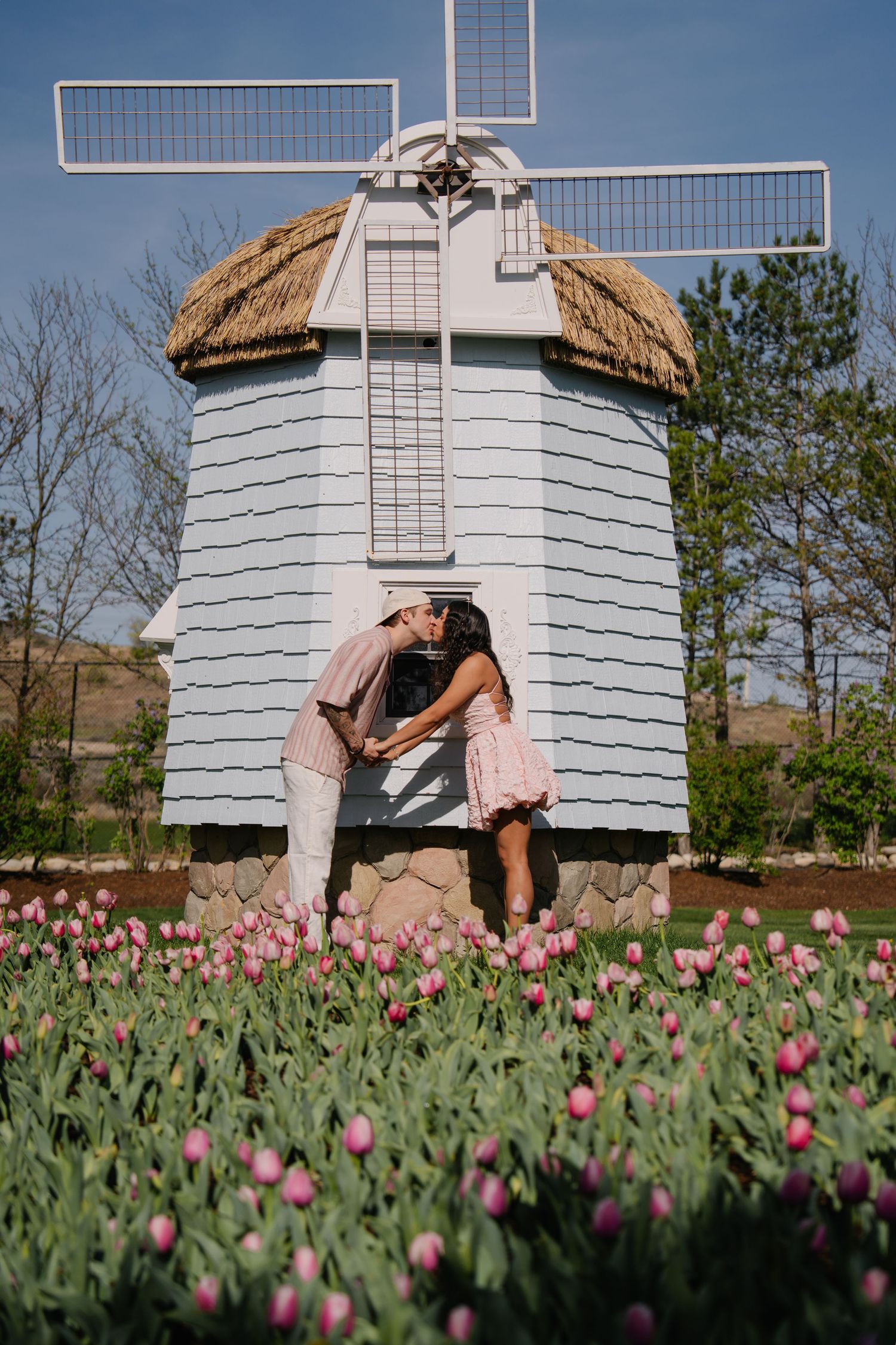 Couple kissing in front of a white windmill surrounded by blooming pink tulips on a sunny day.