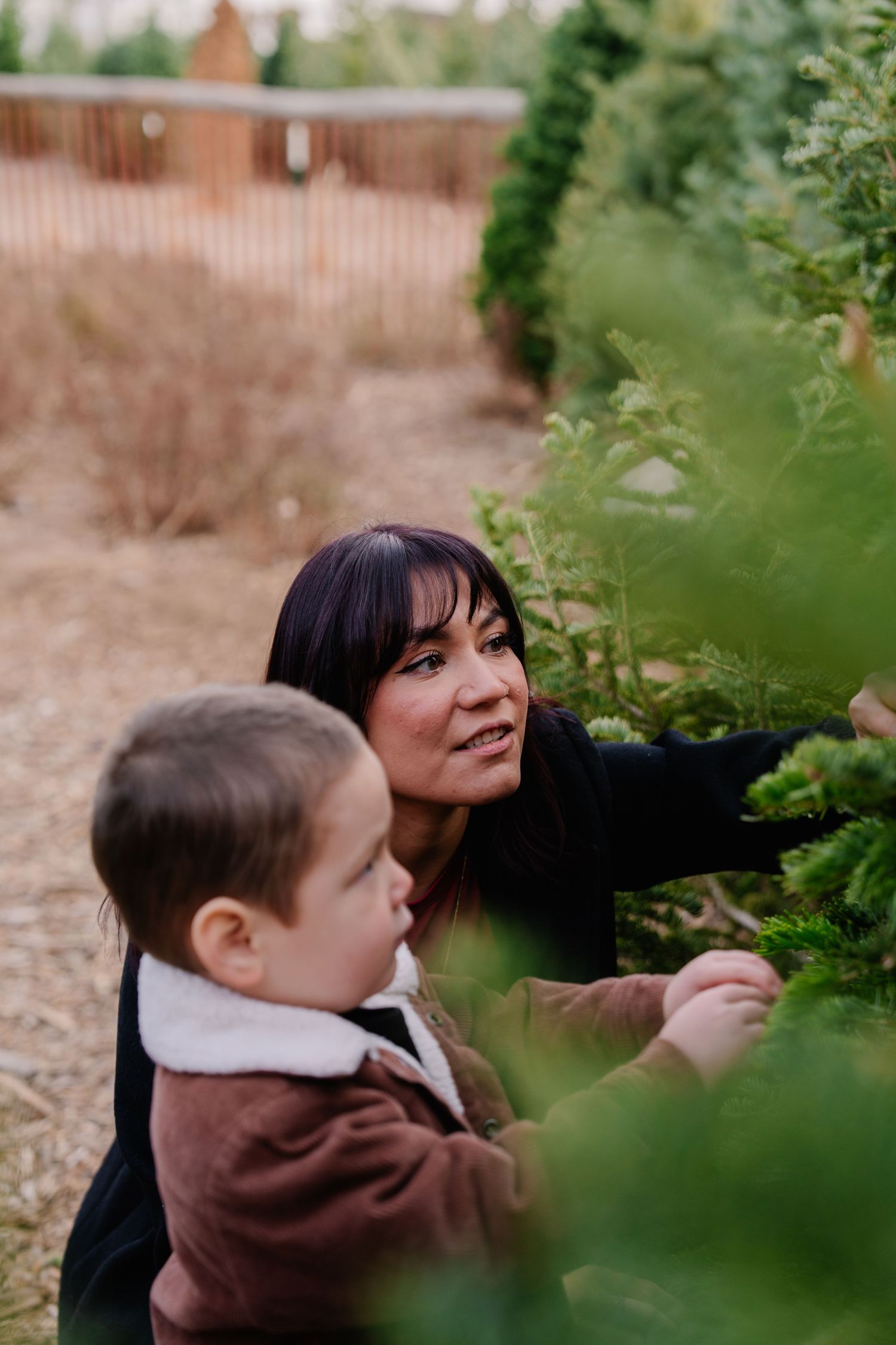 A woman and young child browse Christmas trees at an outdoor tree farm.