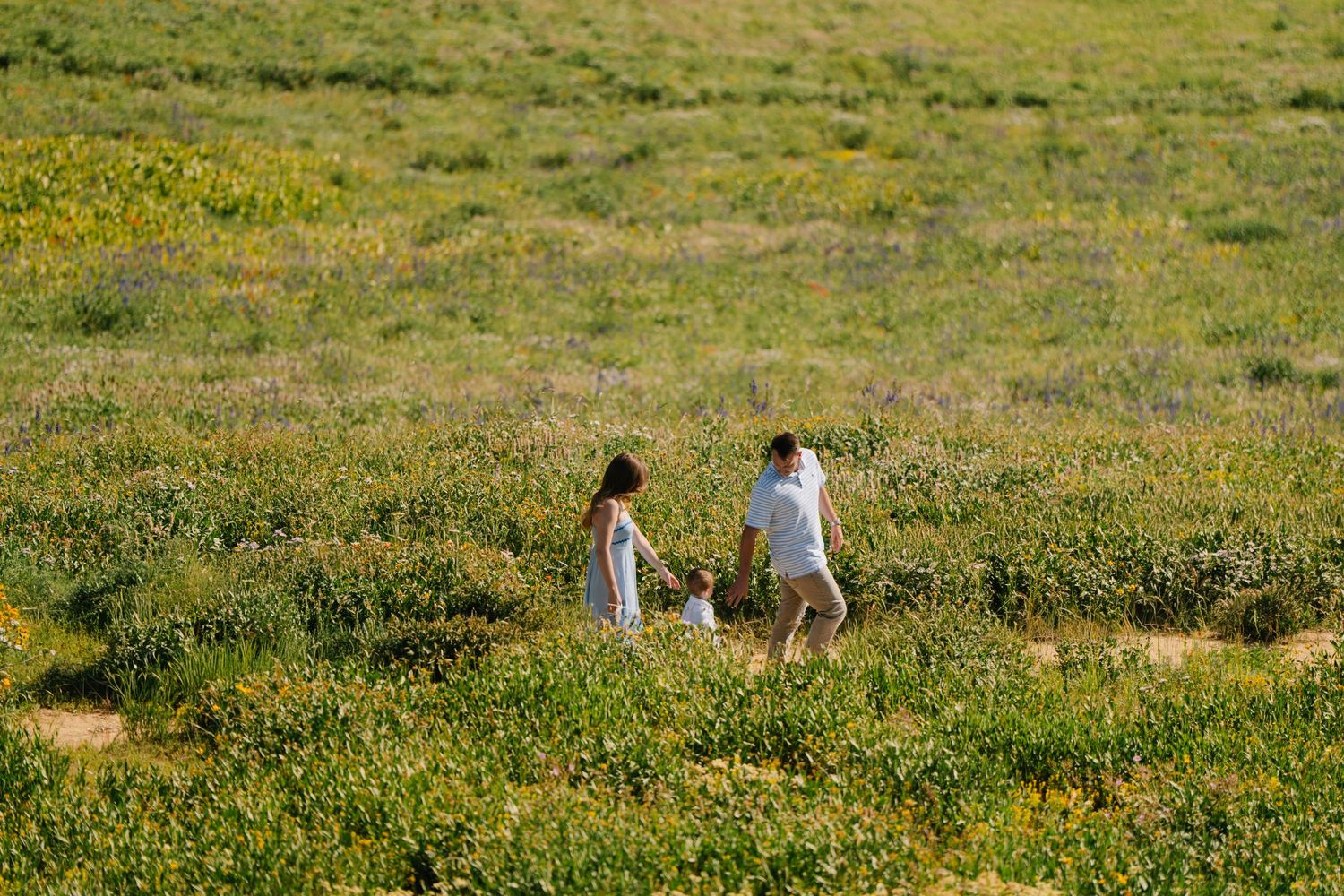 Two adults and a child walk hand-in-hand through a vibrant green meadow filled with wildflowers.