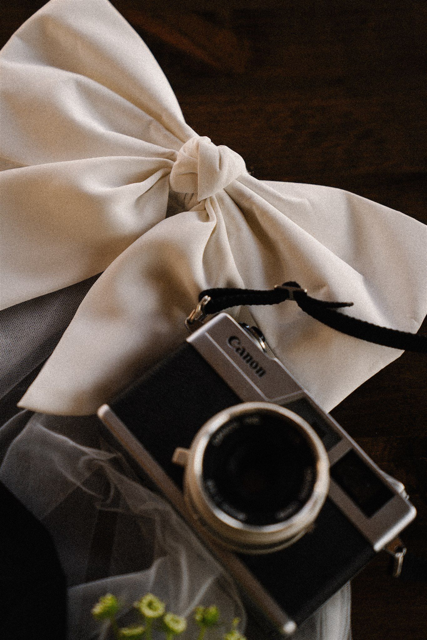 White bow tie and camera equipment arranged on dark wooden surface.