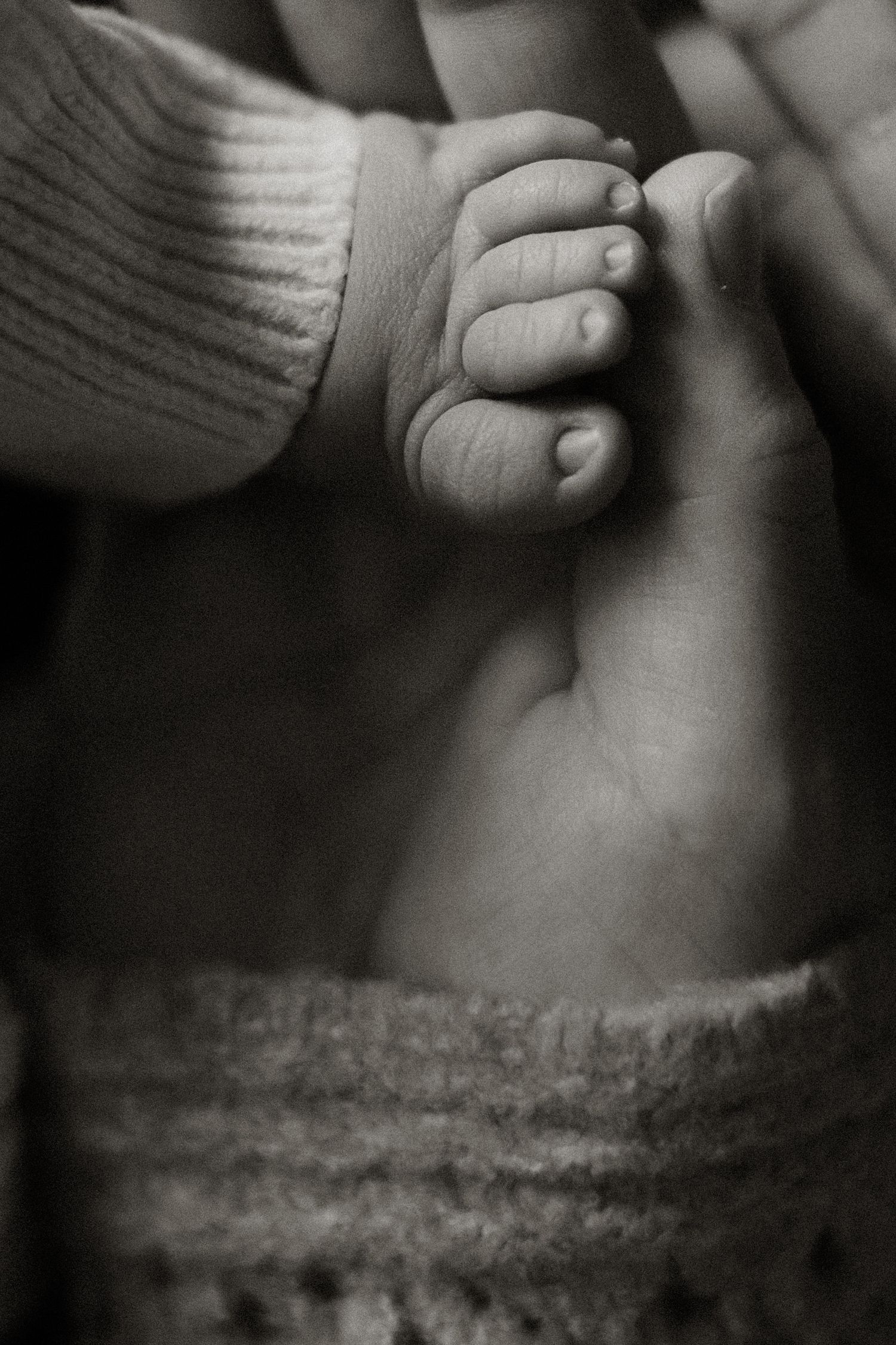 Newborn photography in Boise Idaho