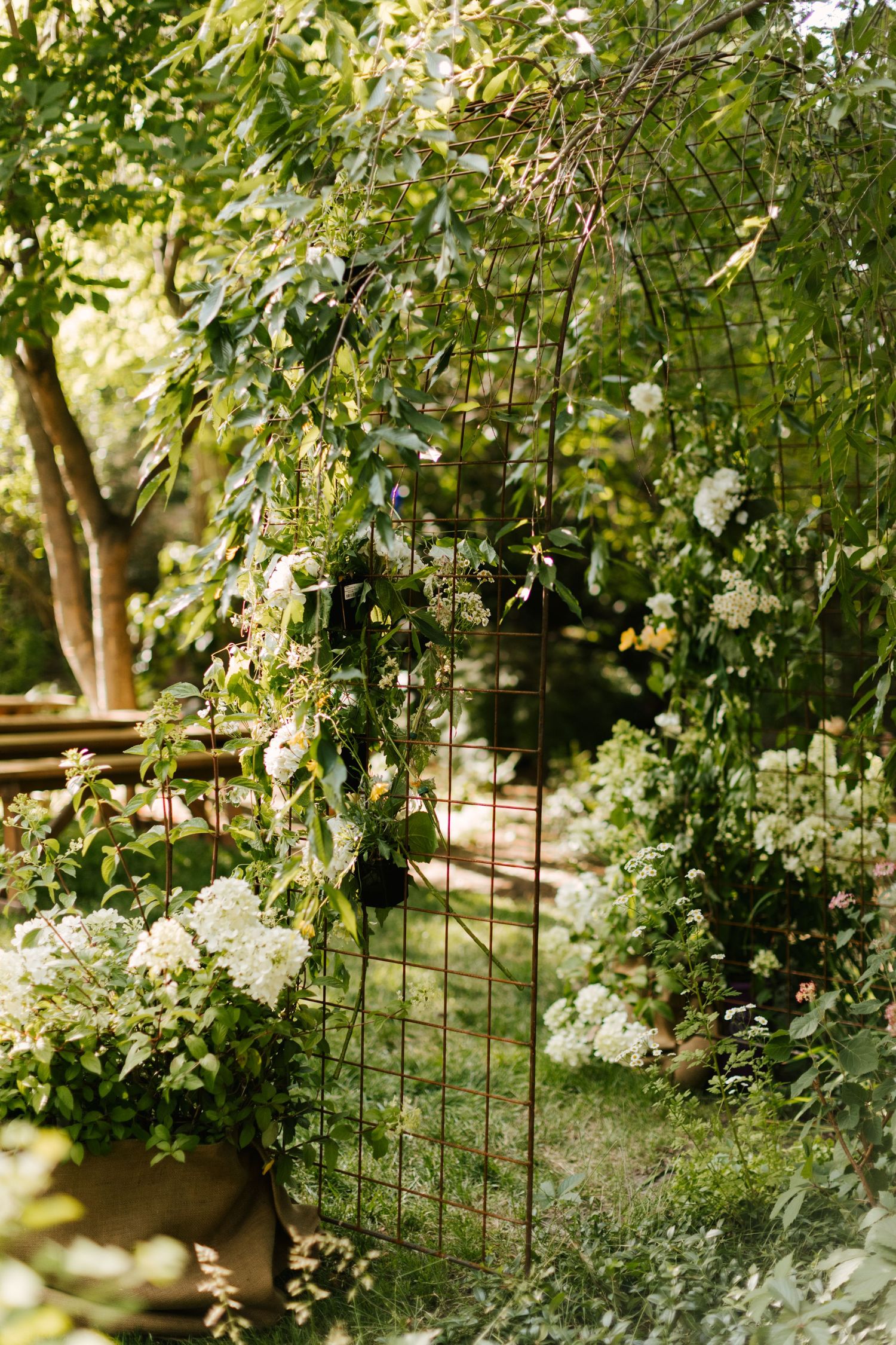 Wedding photography in Boise Idaho